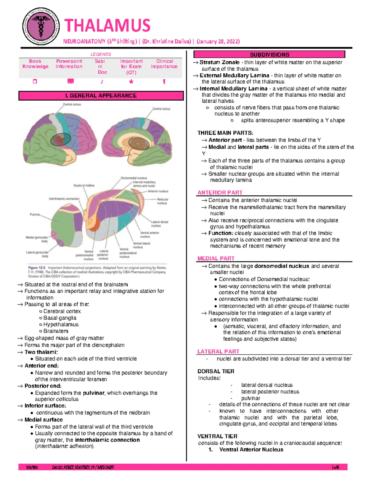 Neuroanatomy Overview: CNS Divisions & Brain Structure Insights - Studocu