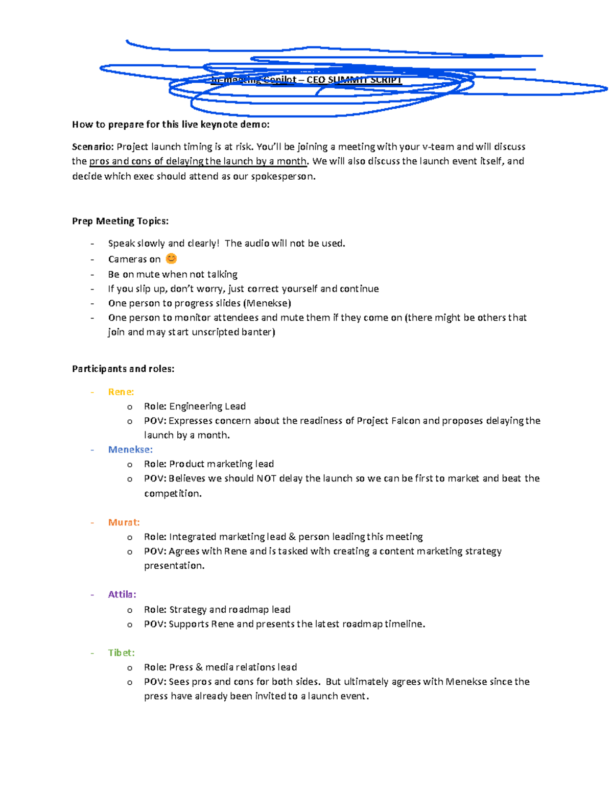 CEO Summit Script: Project Falcon Launch Meeting Preparation - Studeersnel