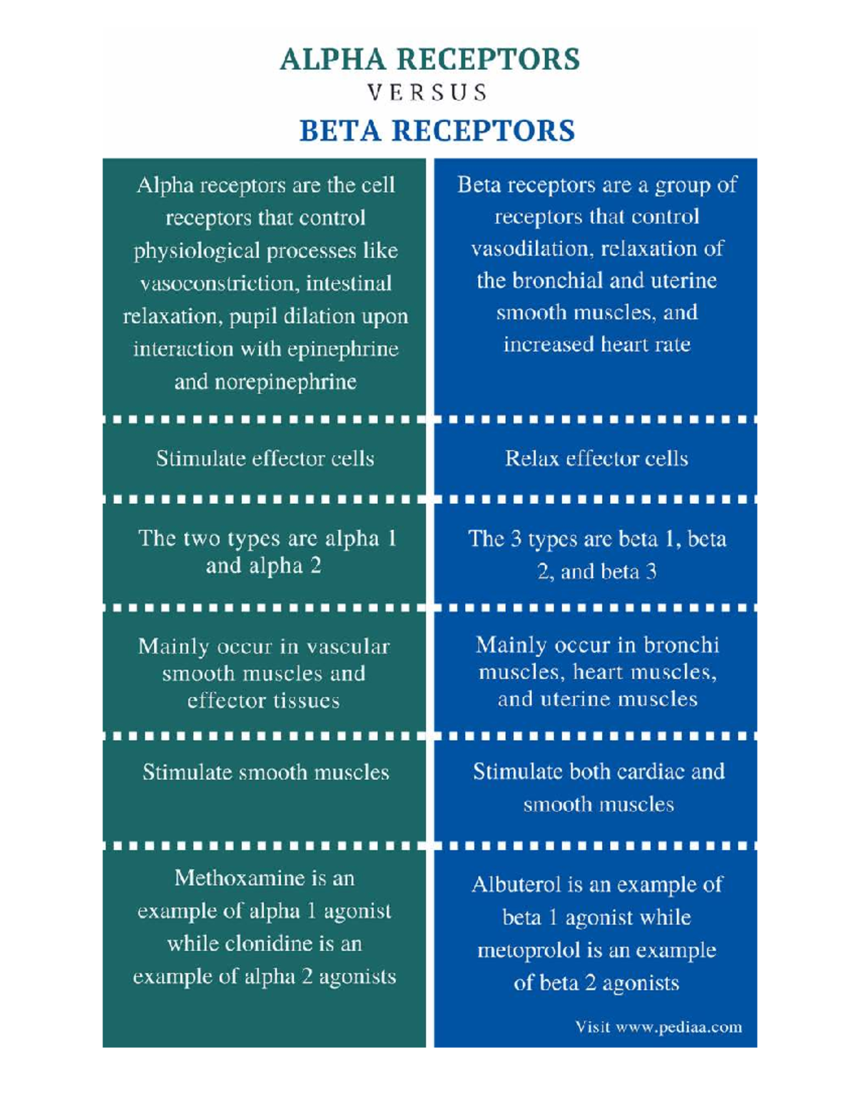Alpha vs Beta Receptors: A Comparative Study on Physiological Functions ...