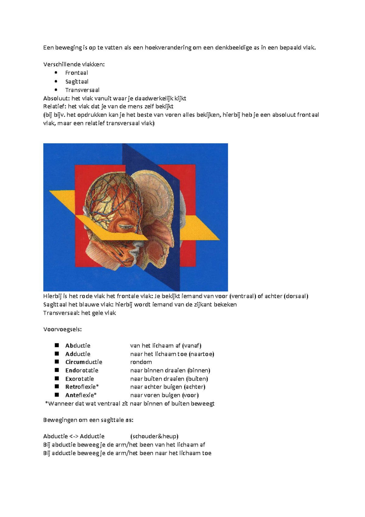 ANATOMIE IN VIVO VAN HET BEWEGINGSAPPARAAT NEDERLANDS PDF visual data 3