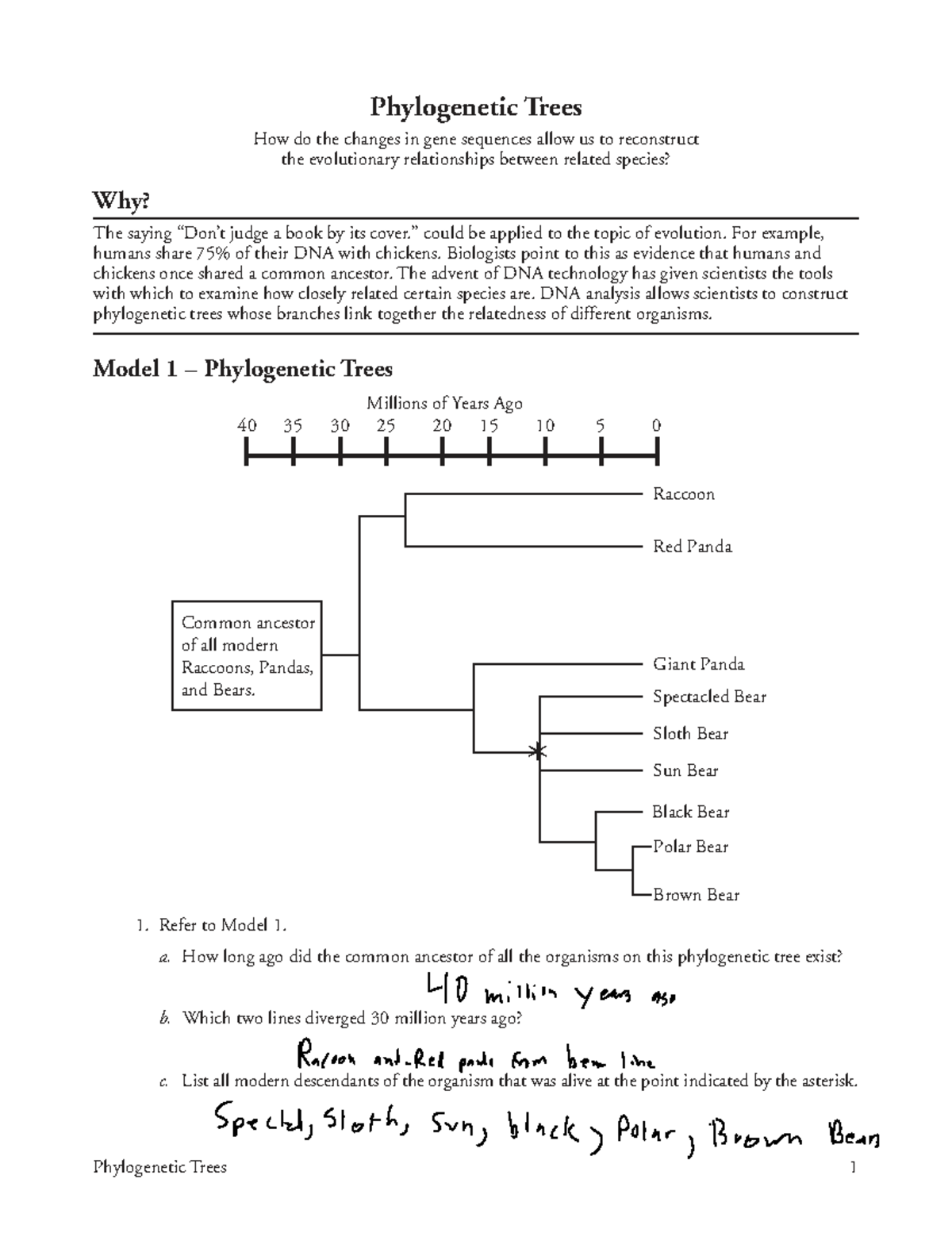 Phylogenetic Trees: Analyzing Evolutionary Relationships Through DNA ...