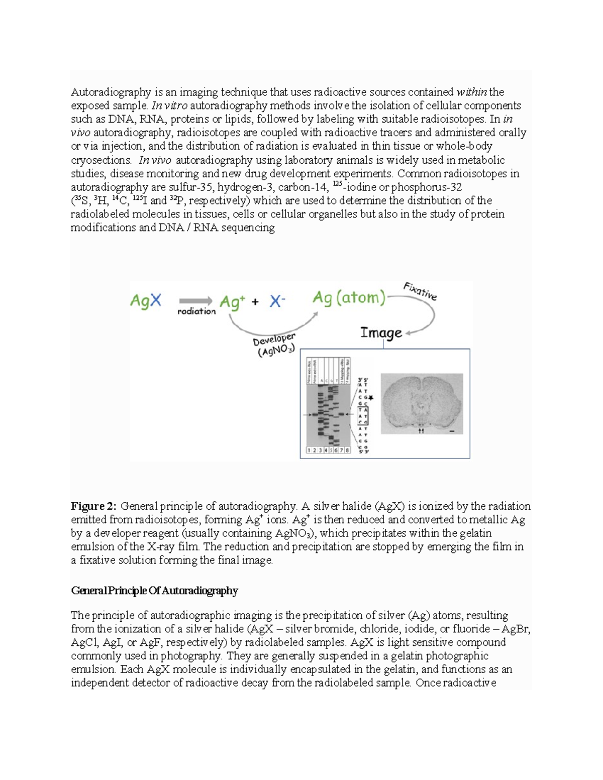 Autoradiography Techniques: Comprehensive Lecture Notes and Insights ...