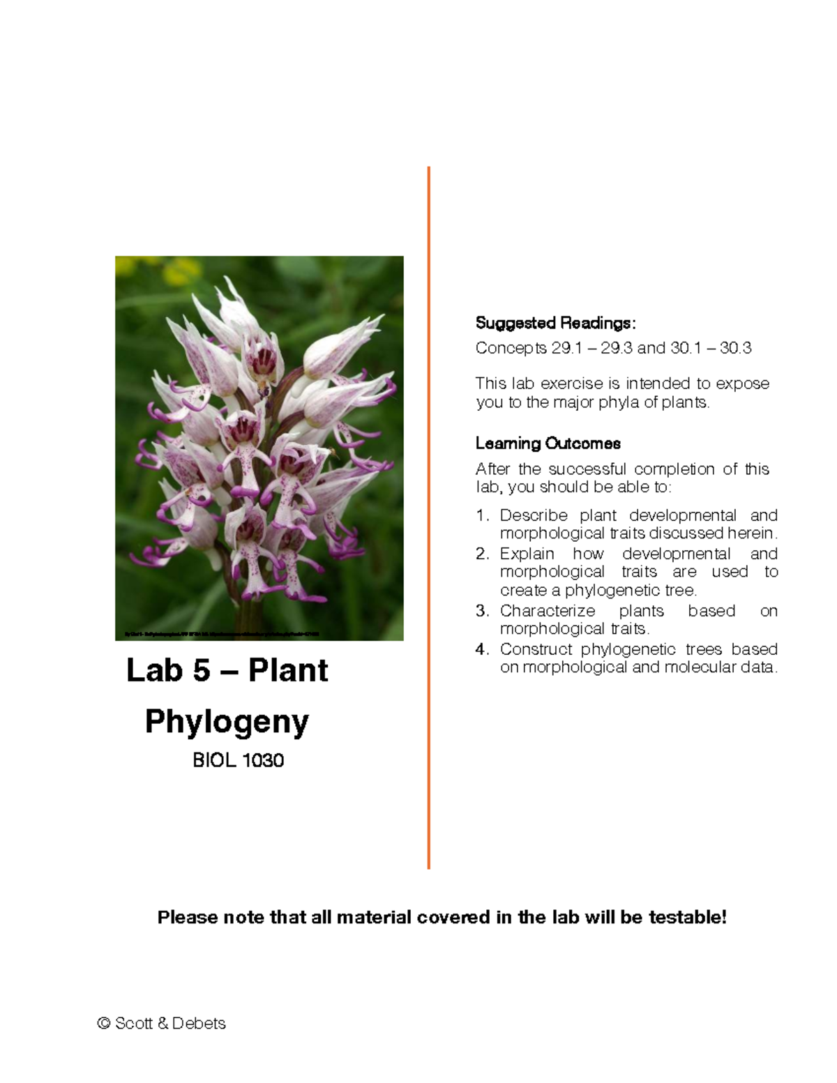 BIOL 1030 Lab 5: Plant Phylogeny and Developmental Traits - Studocu