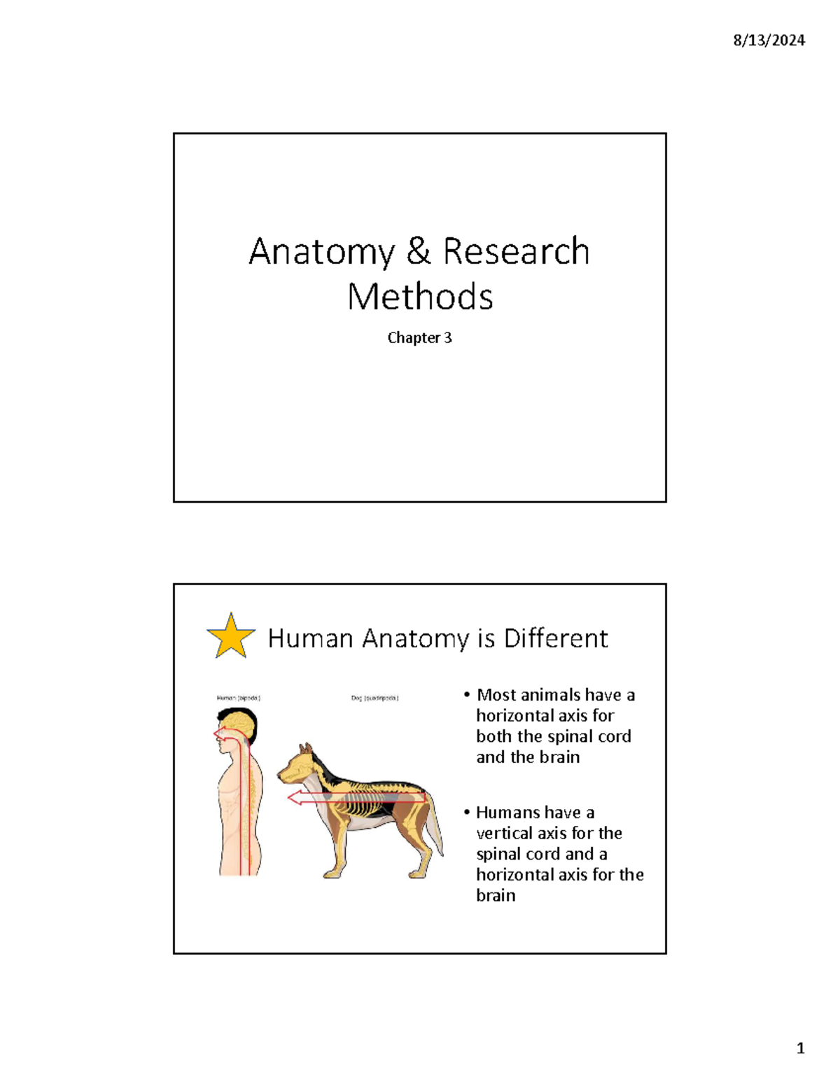 PSYC 101 Chapter 3: Anatomy and Nervous System Overview Notes - Studocu