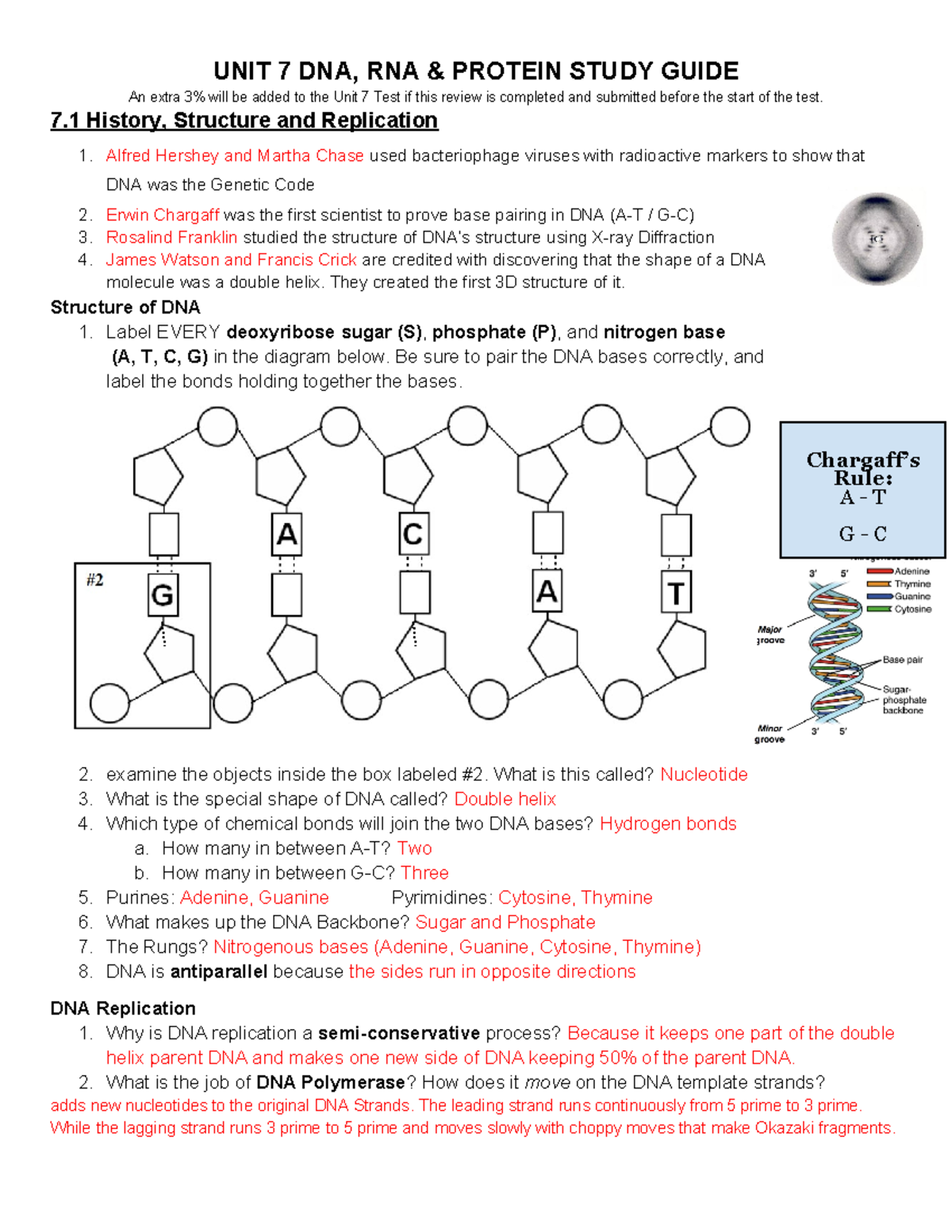 Unit 7 Study Guide: DNA, RNA, and Protein Concepts - Studocu
