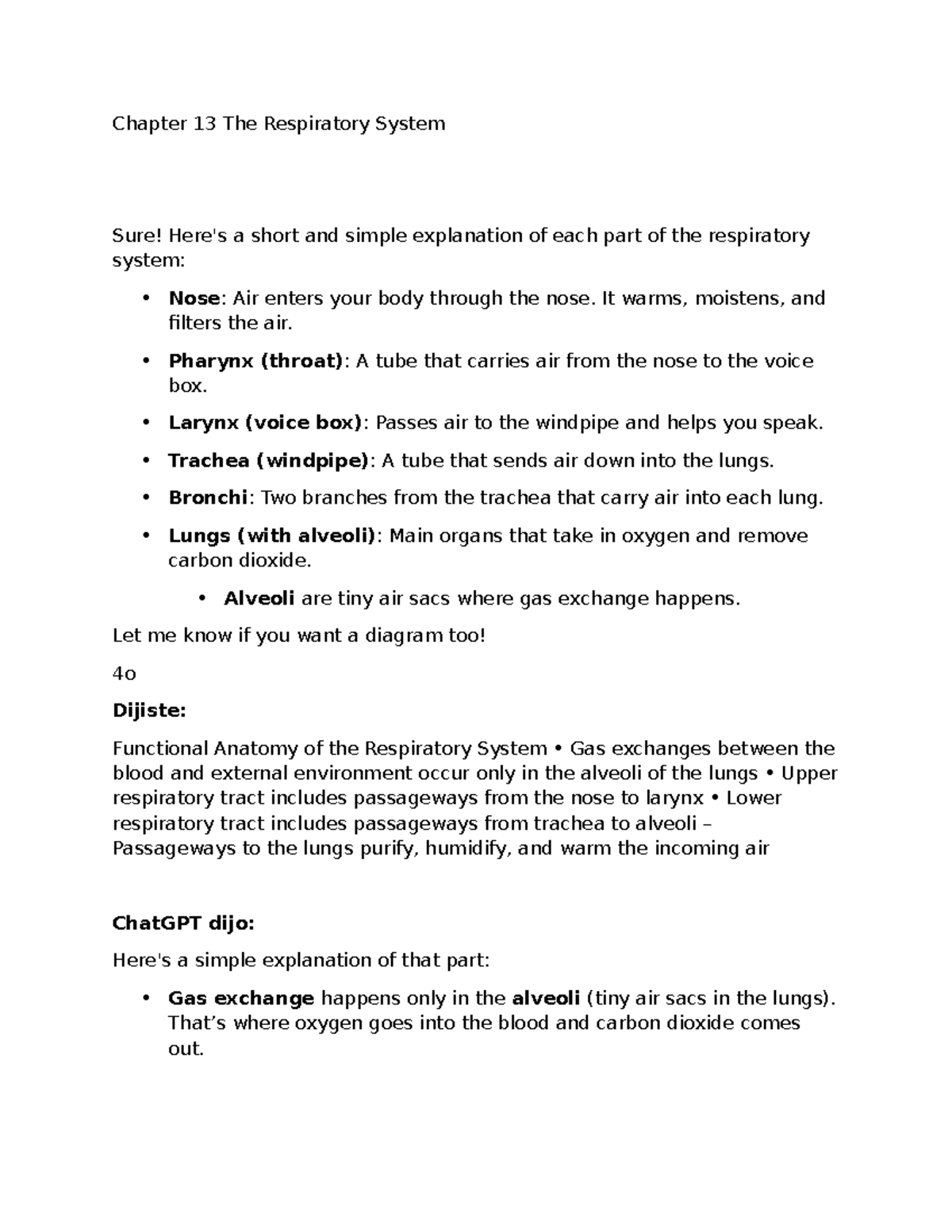Chapter 13: The Respiratory System - Overview and Key Functions (BIO ...