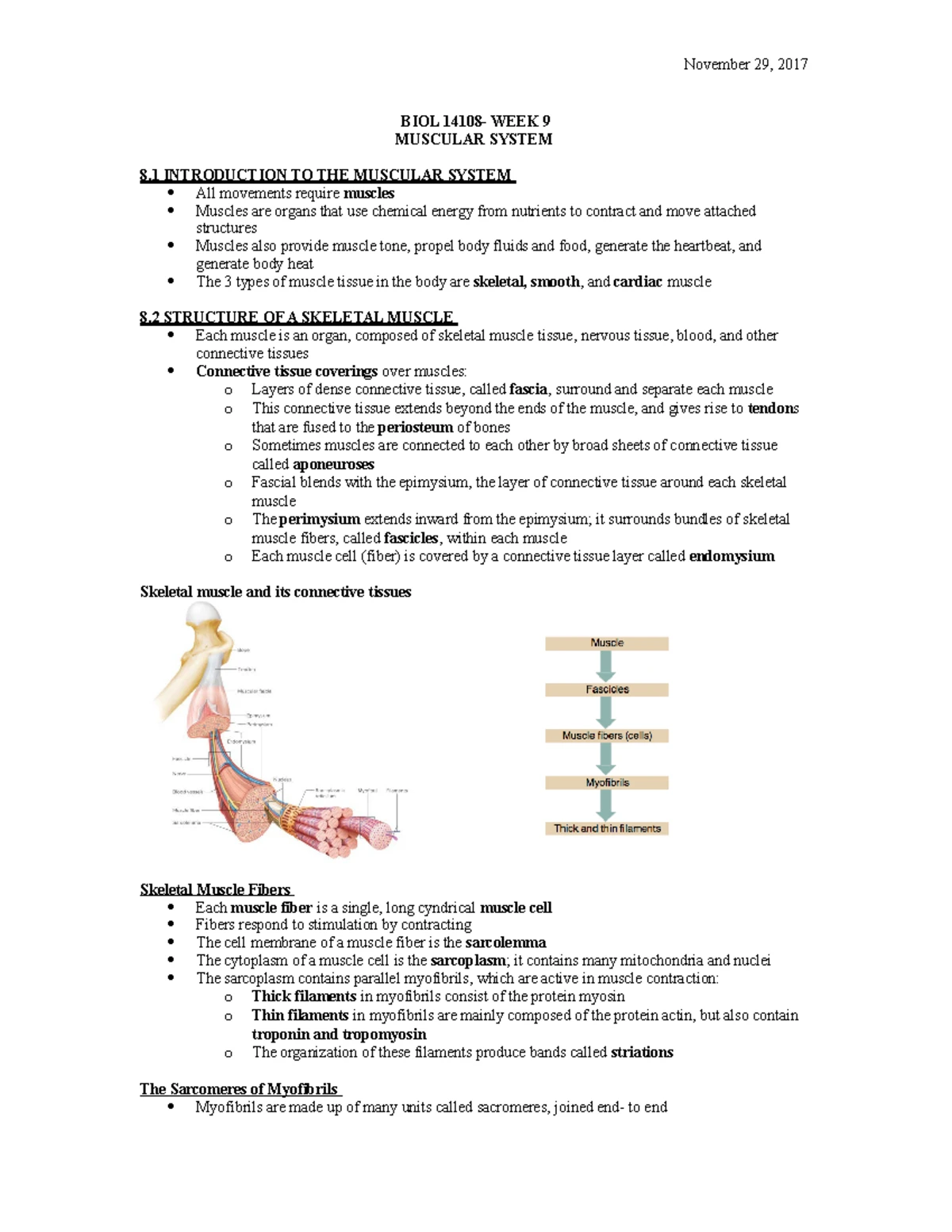 Symbiotic Bacteria & Metabolic Processes for Biohydrogen Production ...