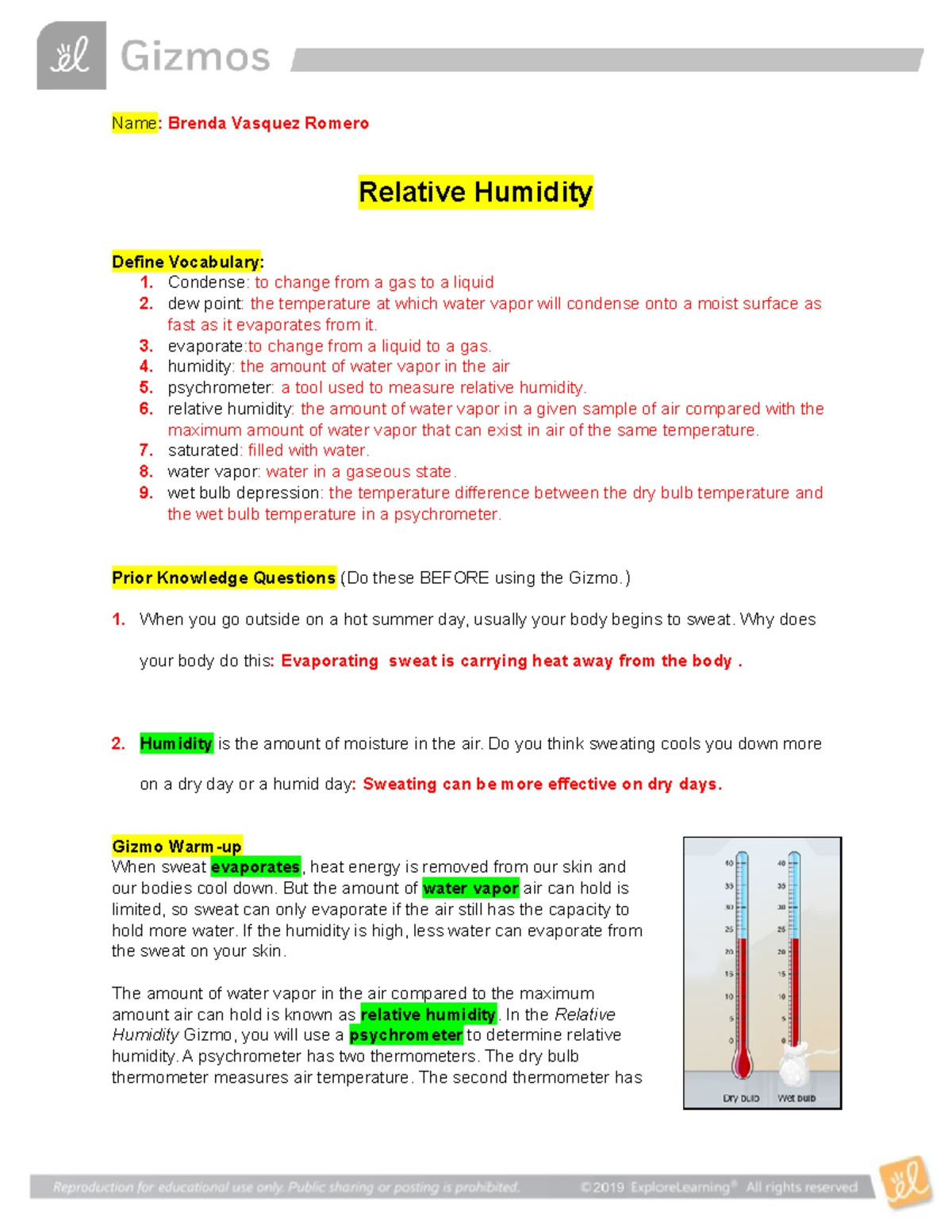 DNA Mutation Simulation Worksheet - DNA Mutation Simulation Access the ...