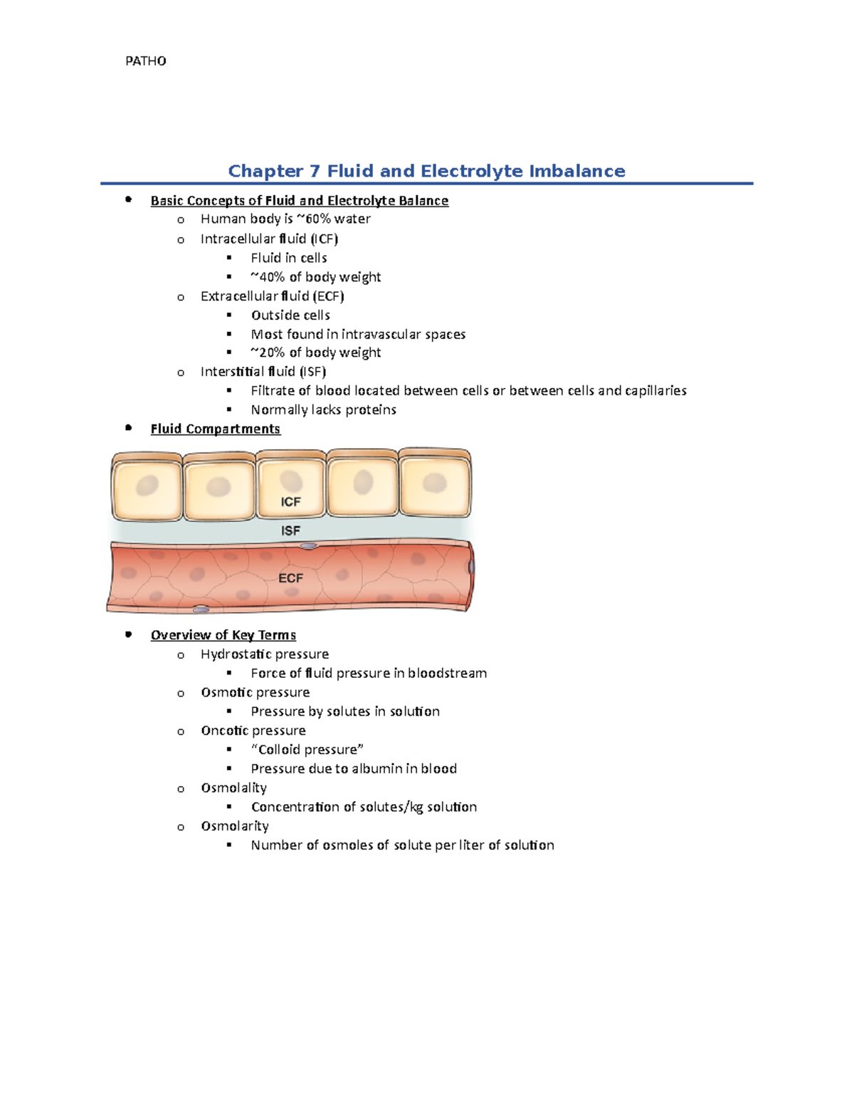 Chapter 7: Fluid and Electrolyte Imbalance Overview - Studocu