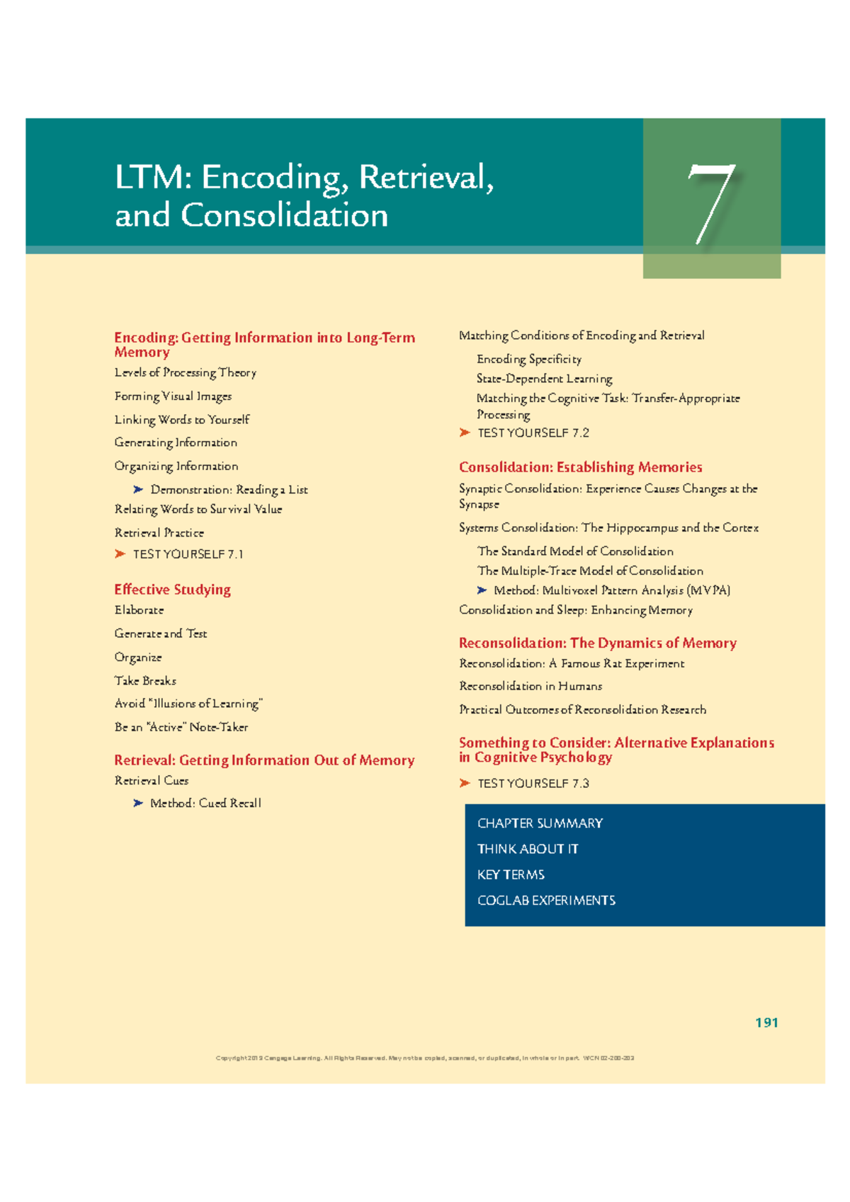 Chapter on Long-Term Memory: Encoding and Retrieval - Studocu