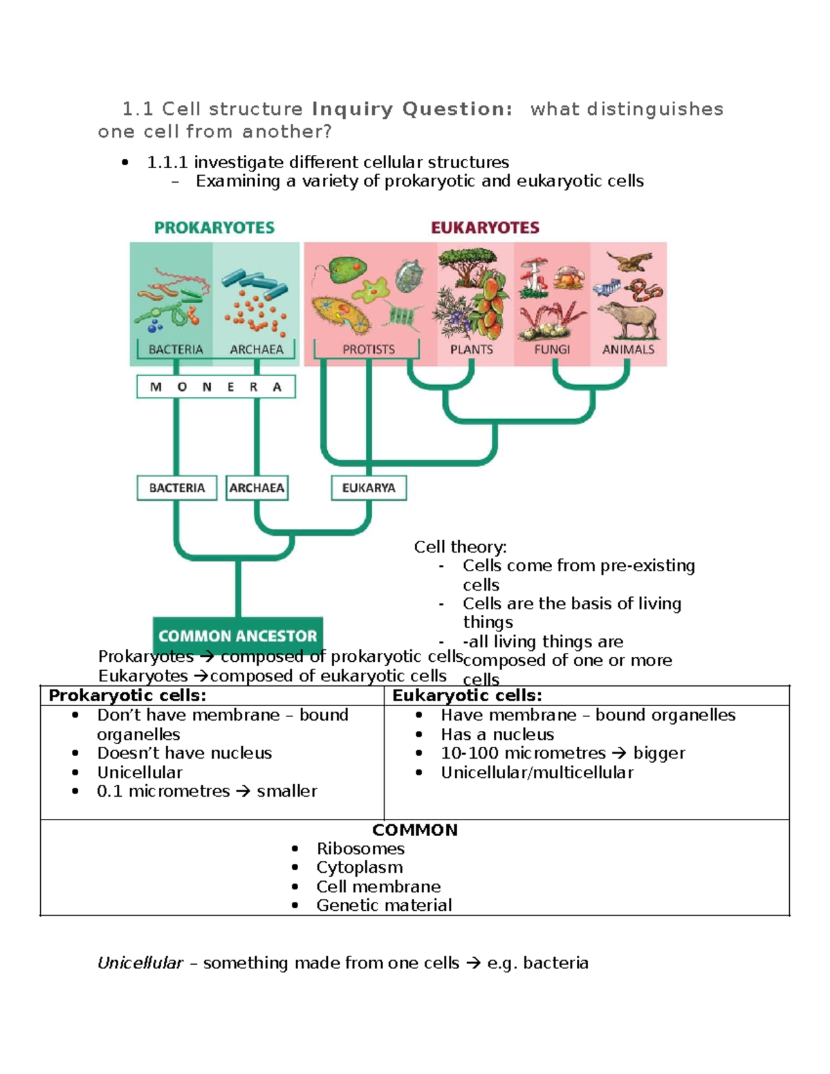 Biology 101: Cell Structure & Function Yearly Notes - Studocu