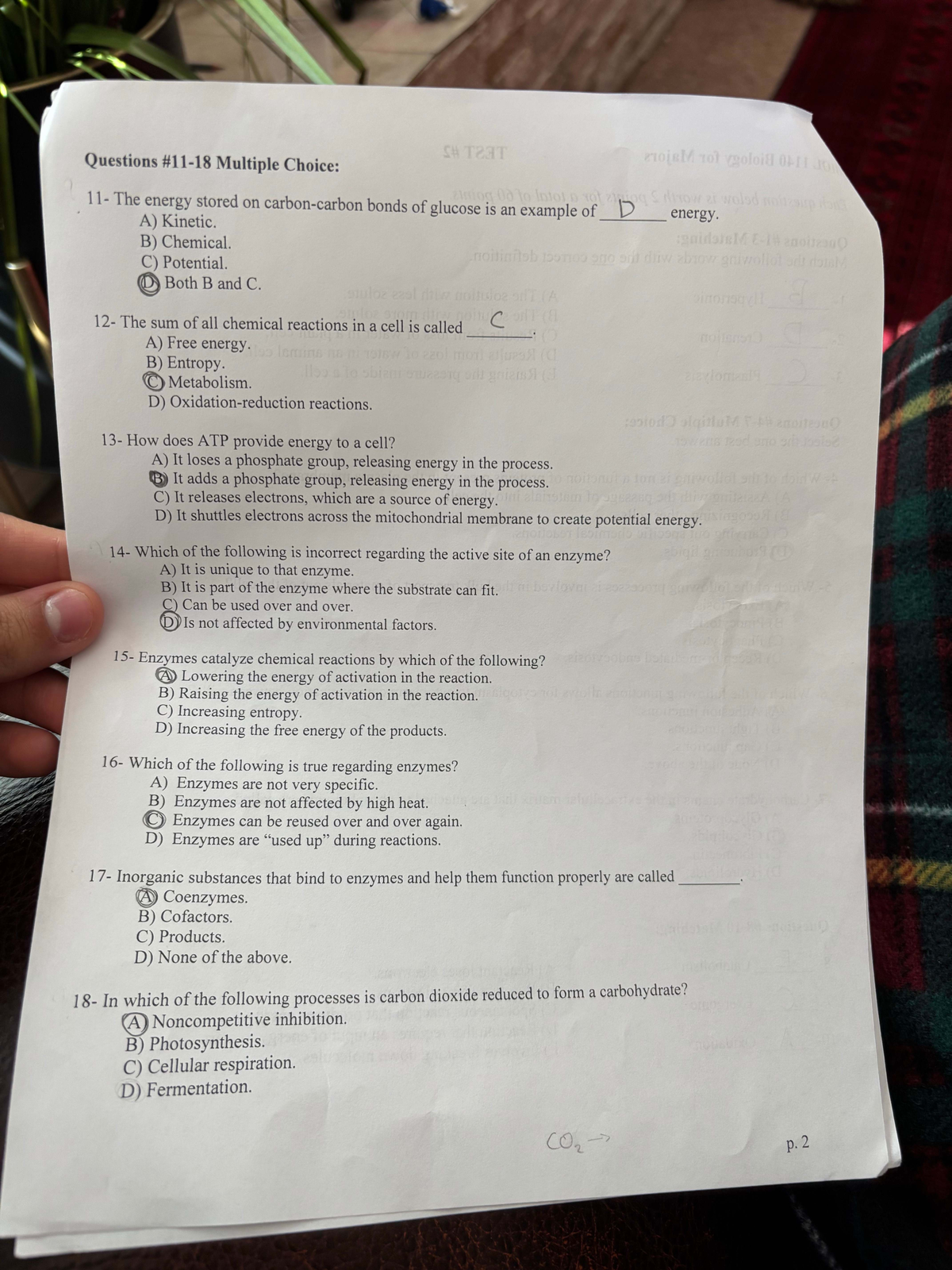 Final Exam Study Guide for BIO 101: Essential Concepts and Review ...