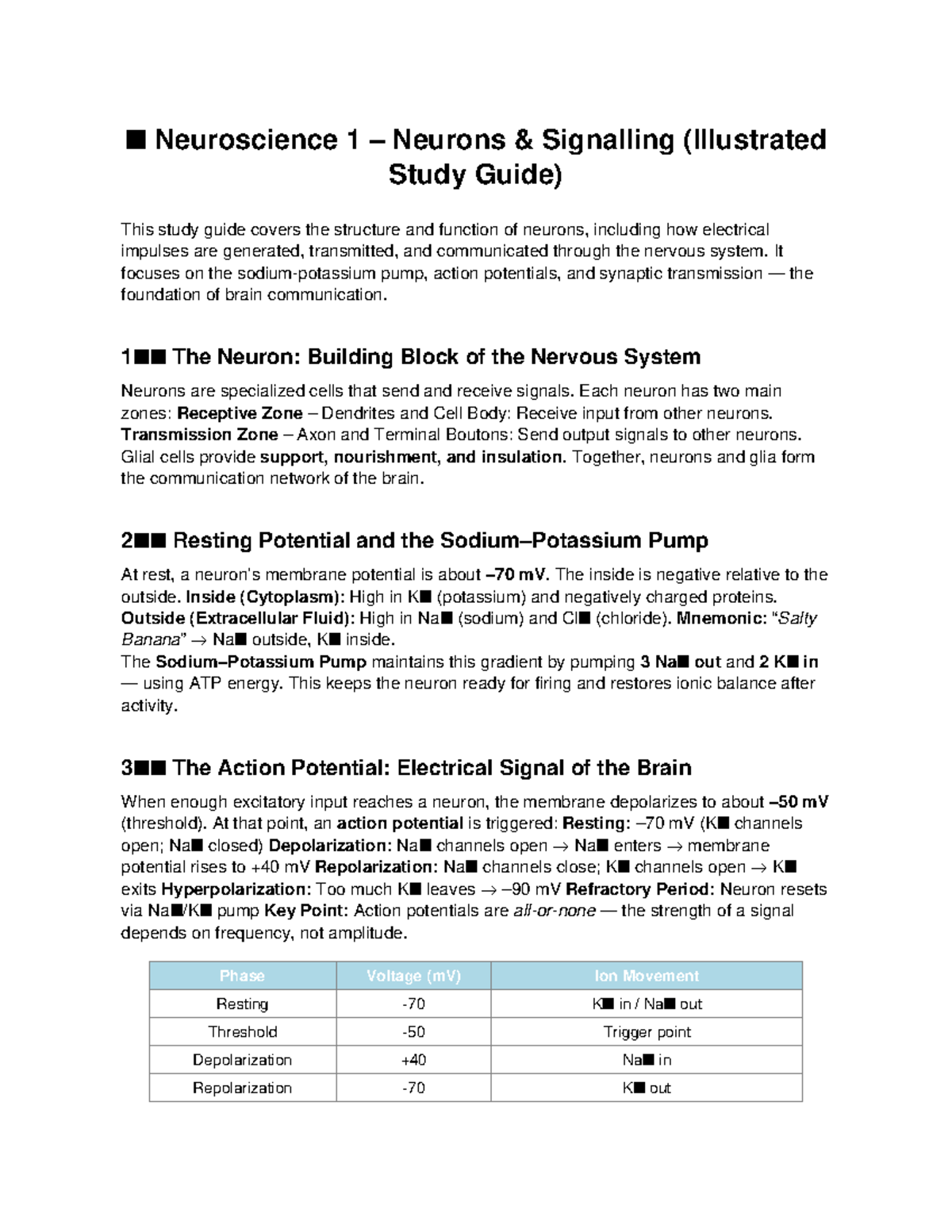 Neuroscience 1: Neurons and Signaling Illustrated Study Guide - Studocu