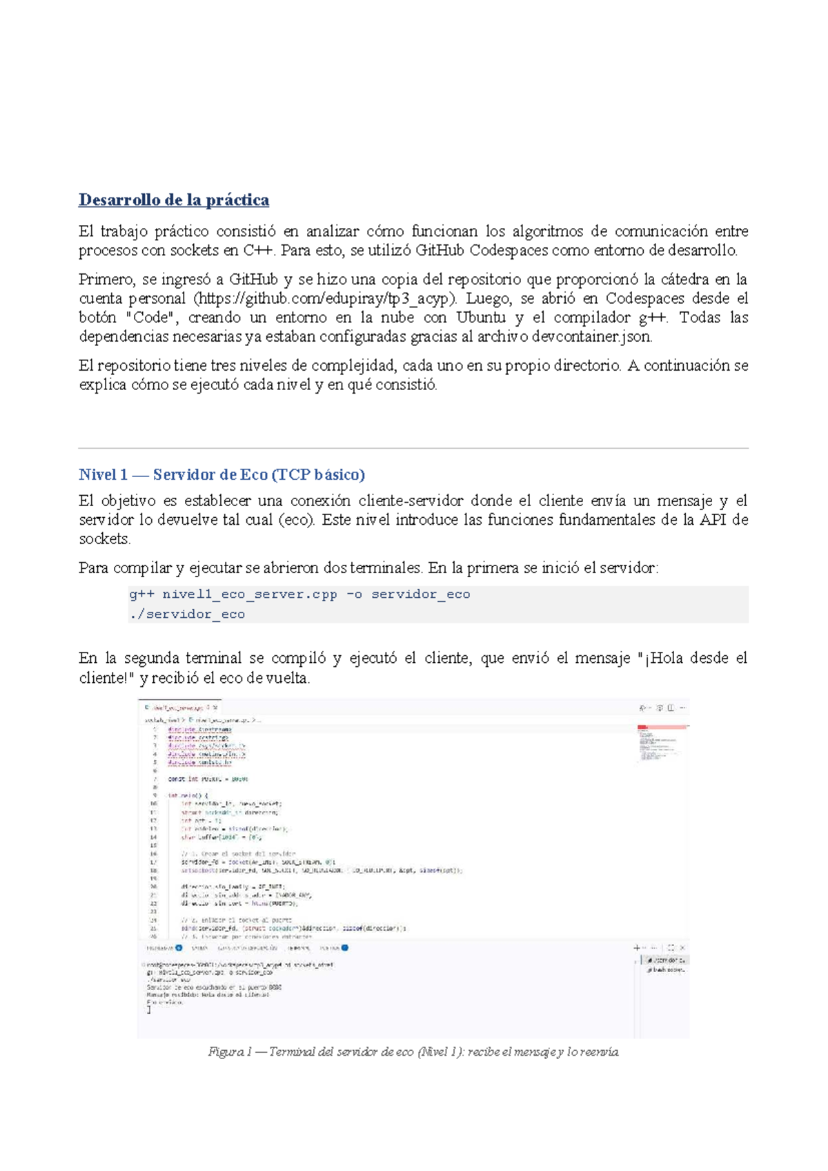 TP3 ACy P Final: Análisis de Algoritmos de Comunicación con Sockets ...