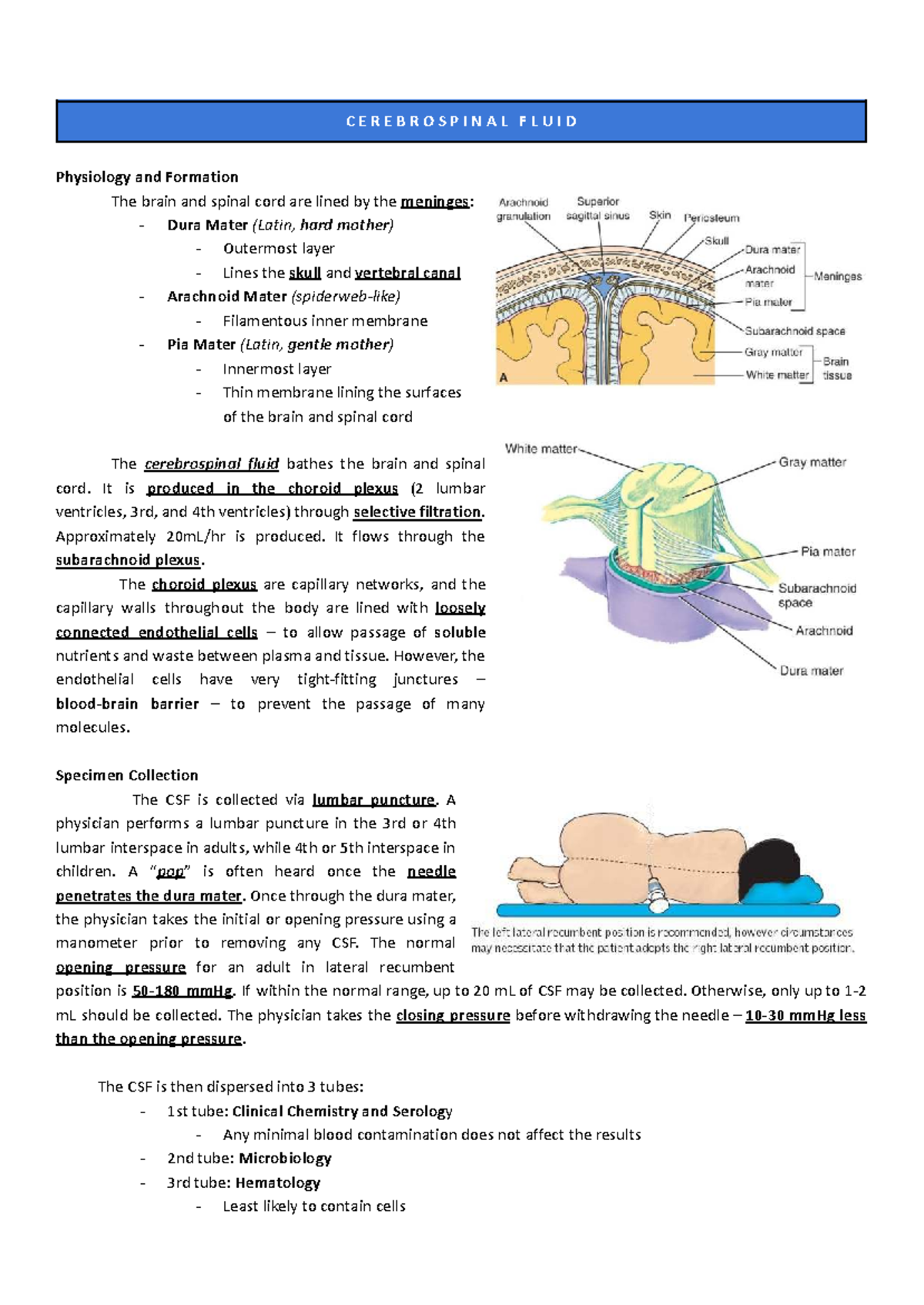 CSF Analysis and Neurosyphilis Overview: Key Points and Collection ...