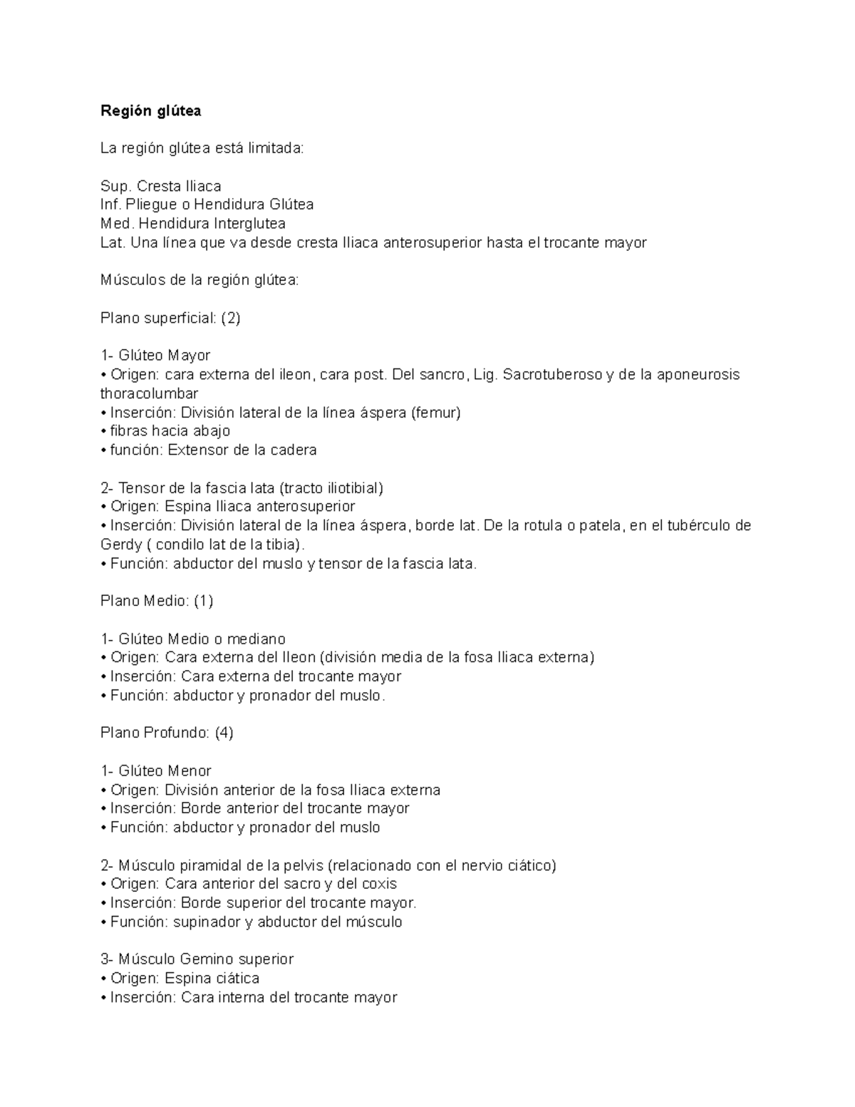 Anatomía de la Región Glútea: Músculos y Funciones - Studocu, image size:1200x1553