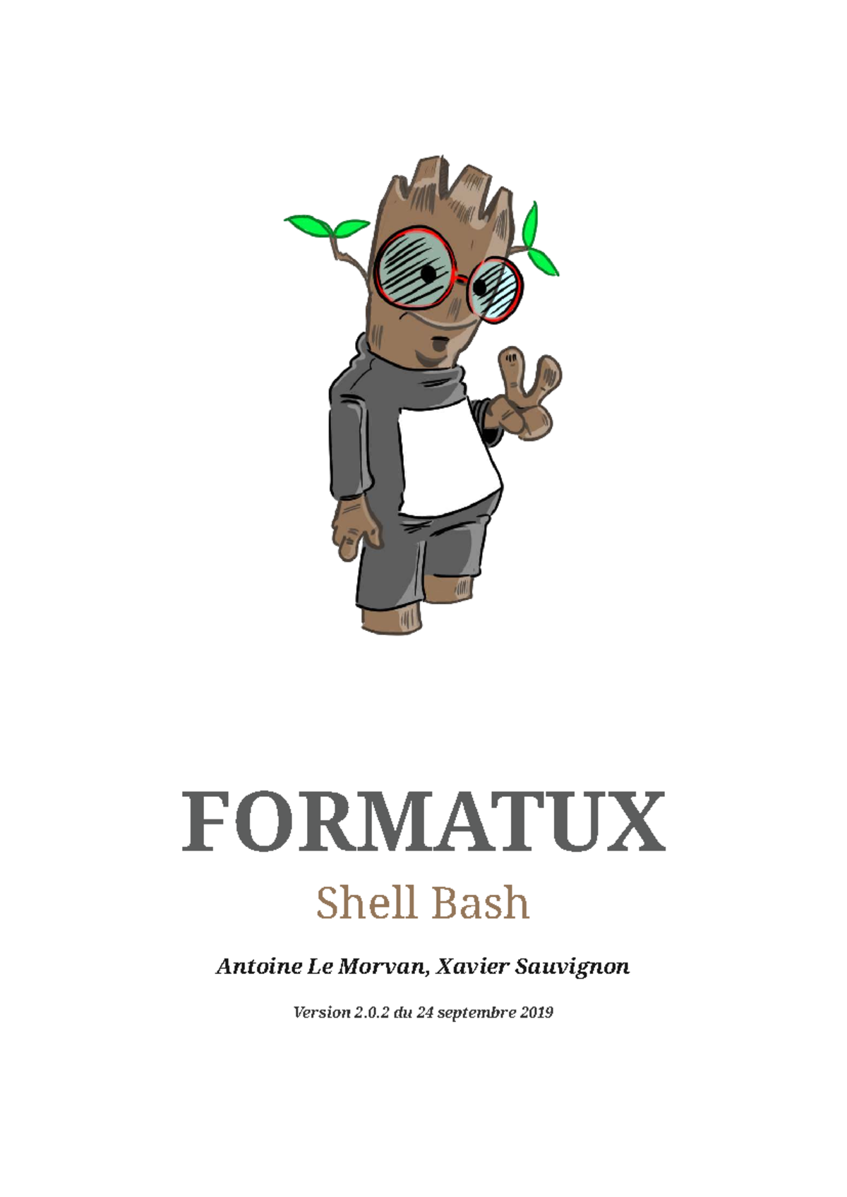 FORMATUX Shell Bash - Guide Complet pour Scripting (Version 2.0.2 ...