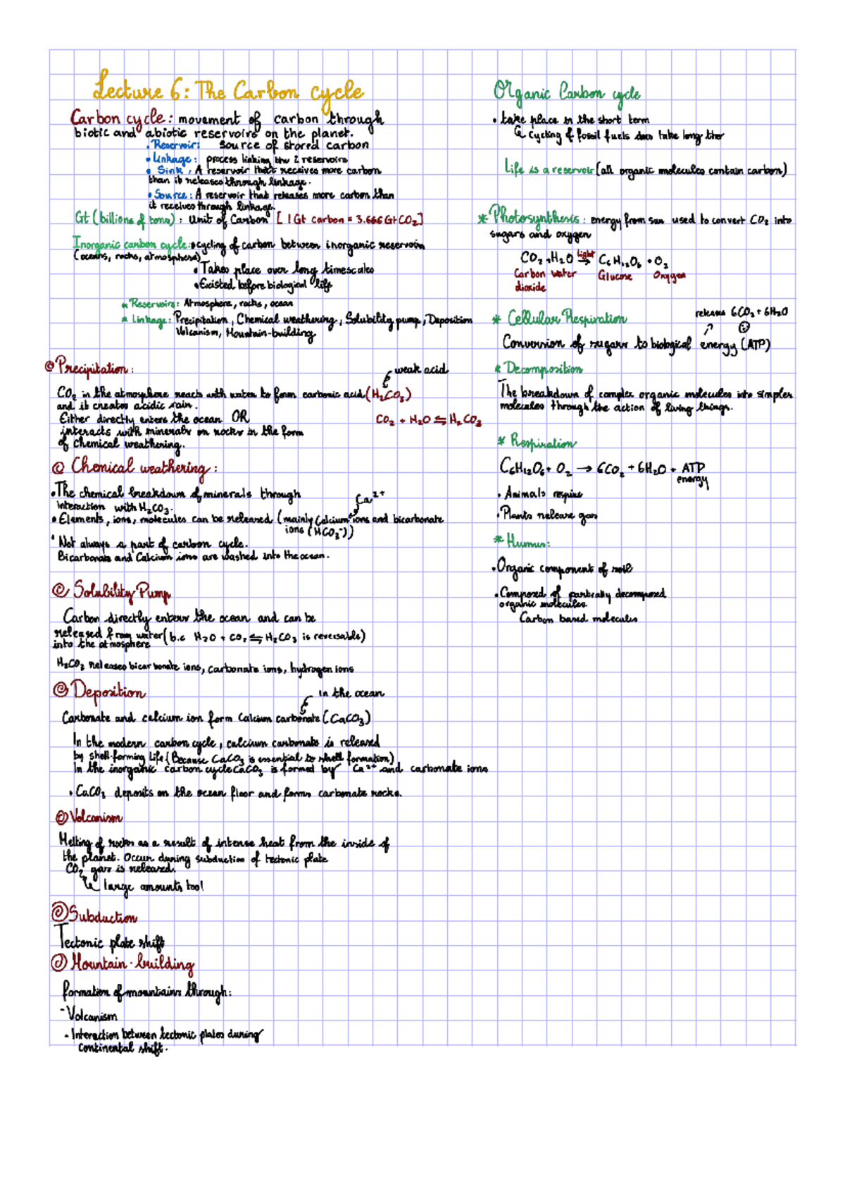 Lecture 6: The Carbon Cycle Overview and Key Concepts - Studocu