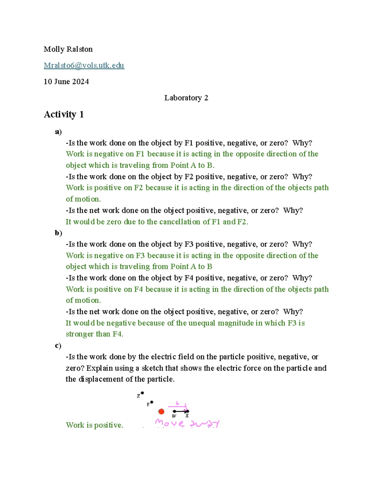 Lab 1 PHYS 222 - Electric Fields and Force Analysis in Vector Fields ...