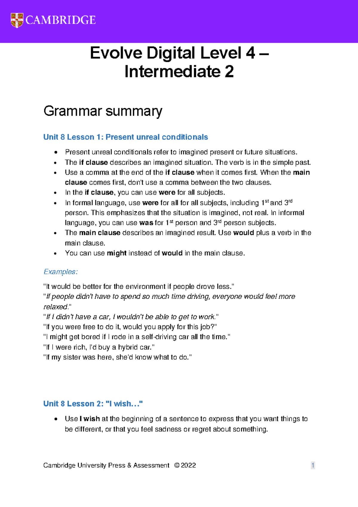 Unit 8 - Evolve Digital Level 4 I2 Grammar Summary: Present Unreal ...