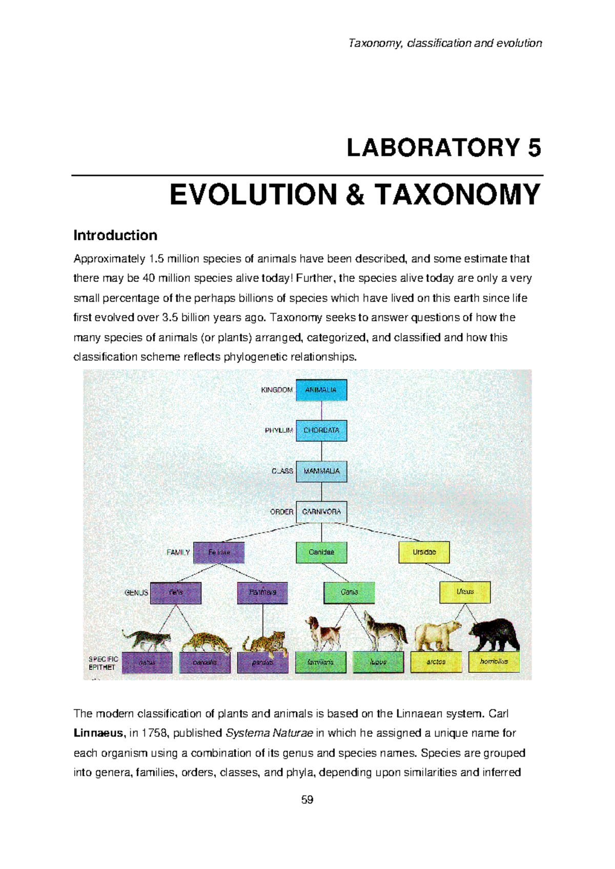 Laboratory 5: Evolution and Taxonomy (BIO 2025) - Studocu