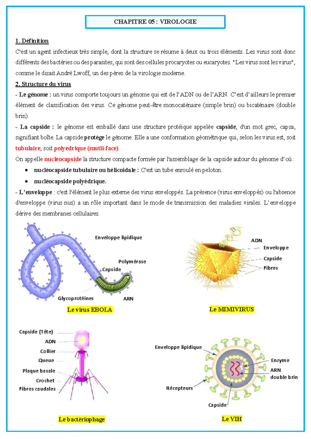 CHAPITRE 05 : VIROLOGIE - Structure et Classification des Virus - Studocu