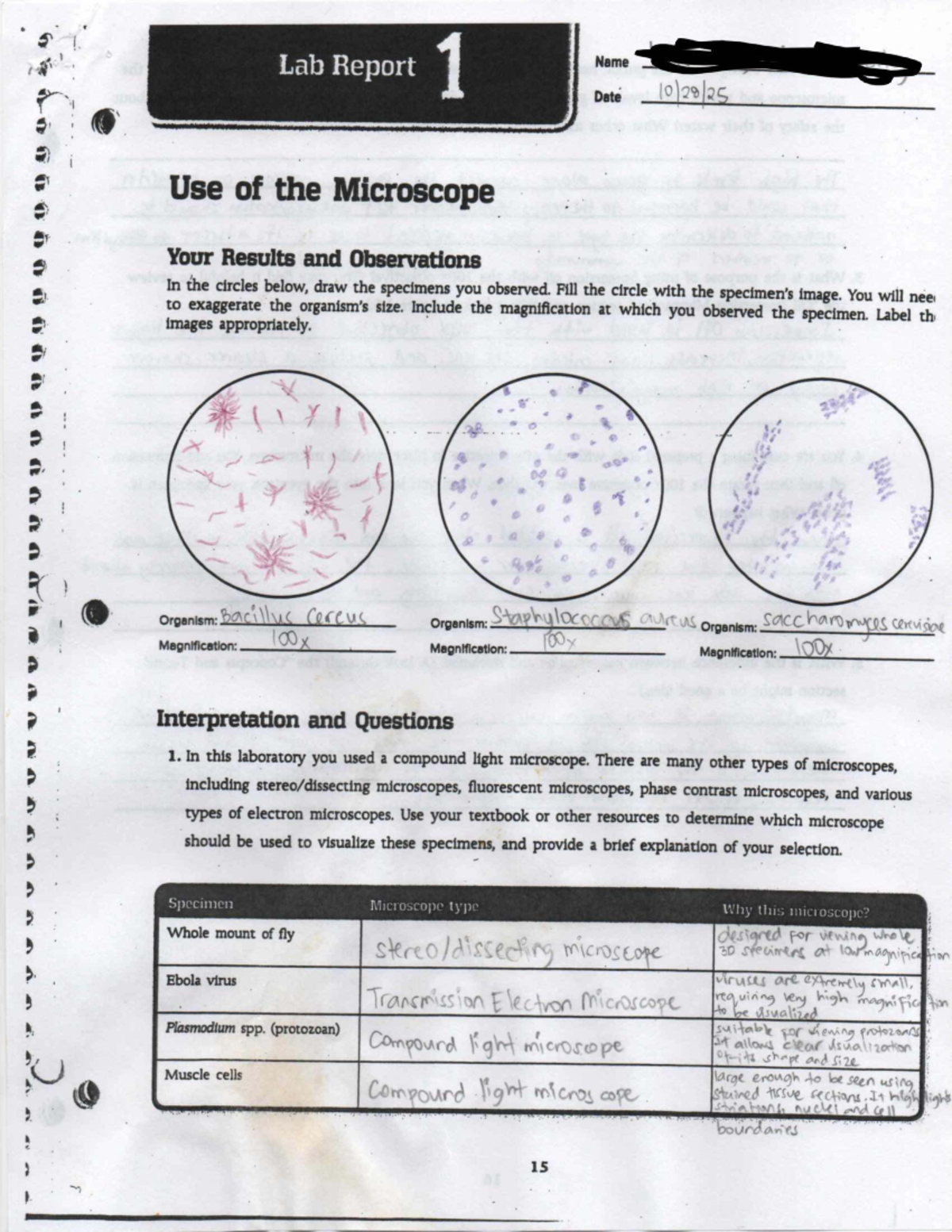 Lab Report 1: Microscope Observations and Analysis - Studocu