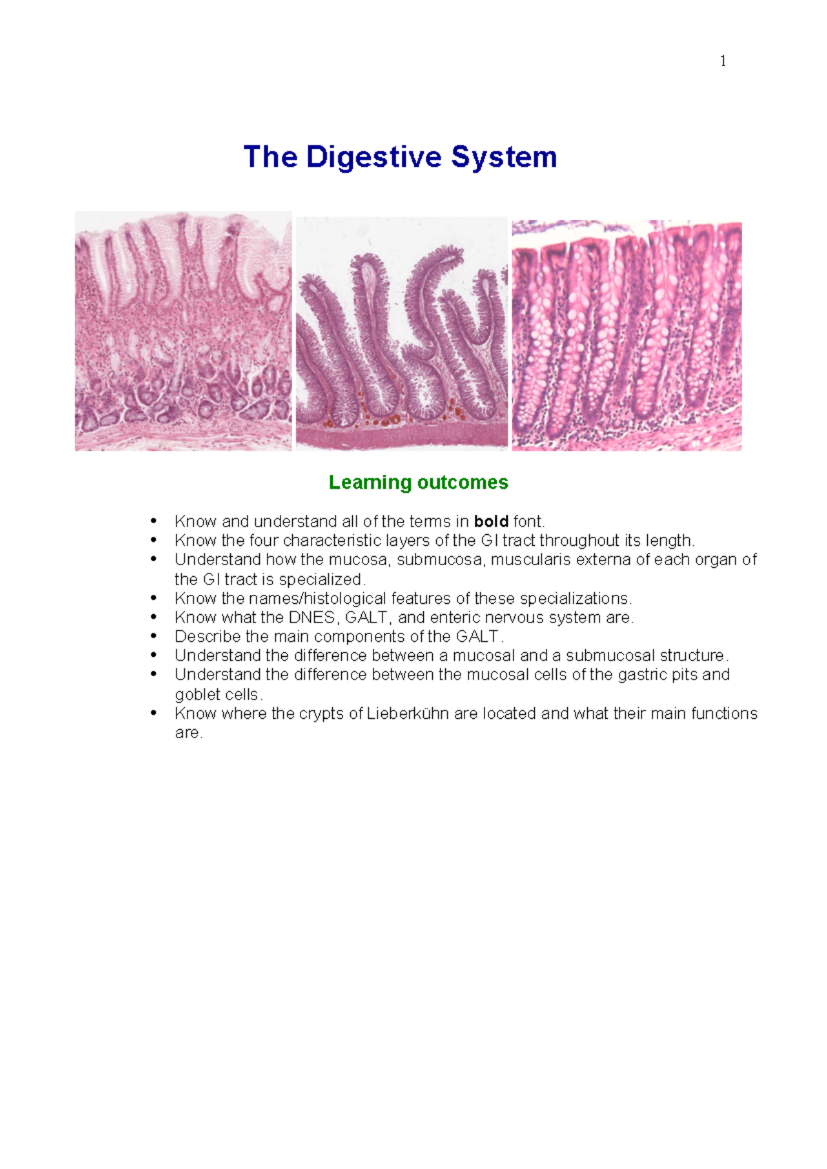 Digestive System II - Key Notes and Features for Study - Studocu