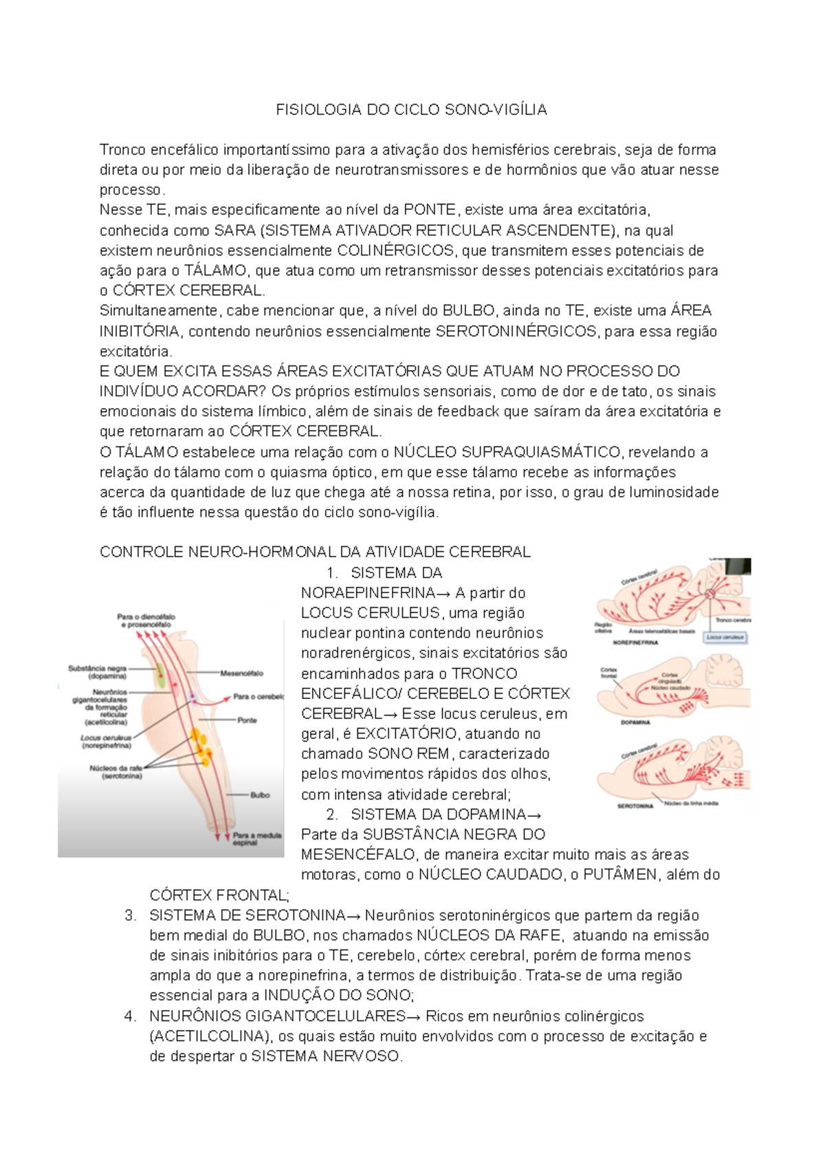 Fisiologia do Ciclo Sono-Vigília: Anatomia e Função do SARA - Studocu