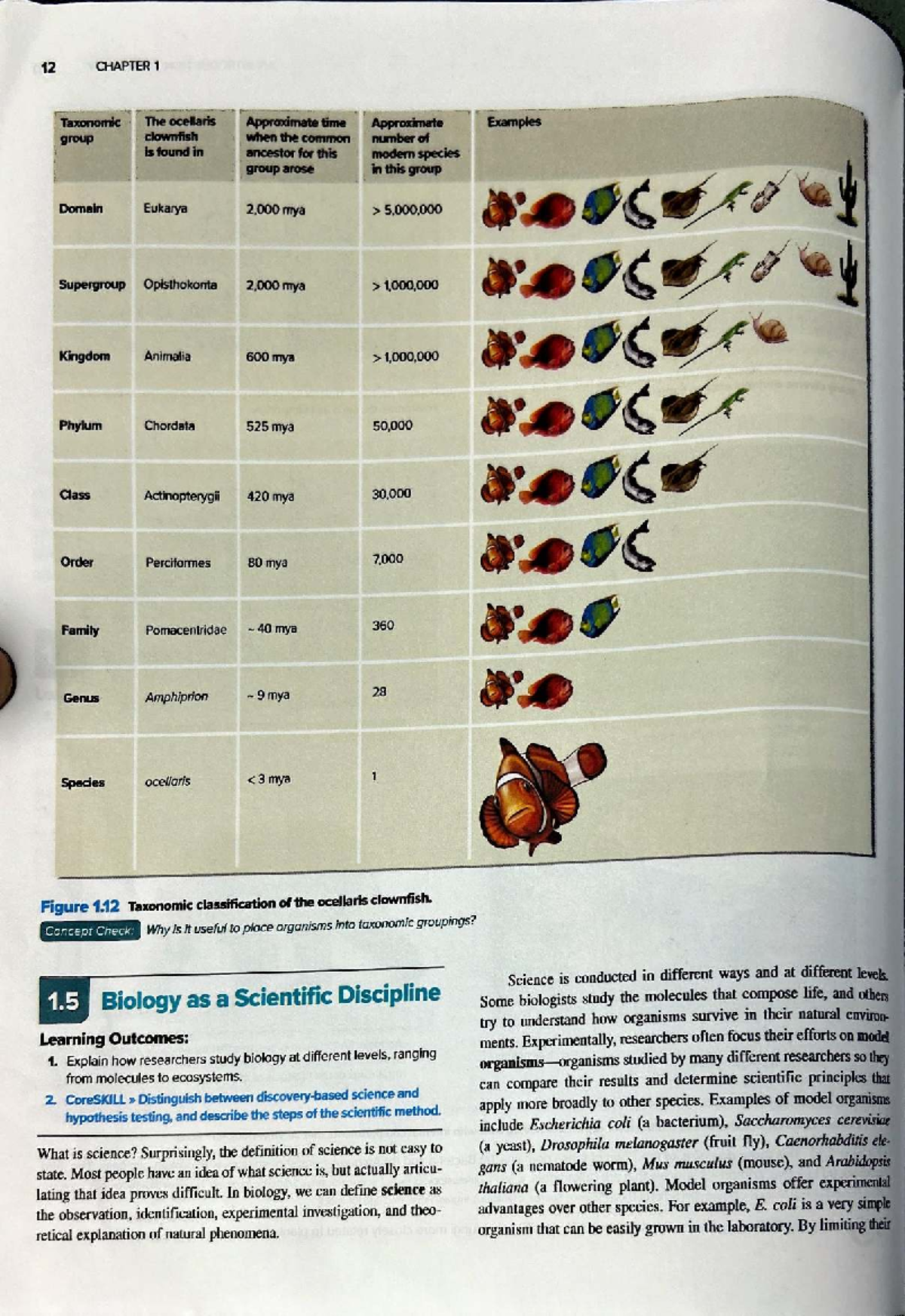 Biology 101: Chapter 1 - Taxonomy and Research Methods Overview - Studocu