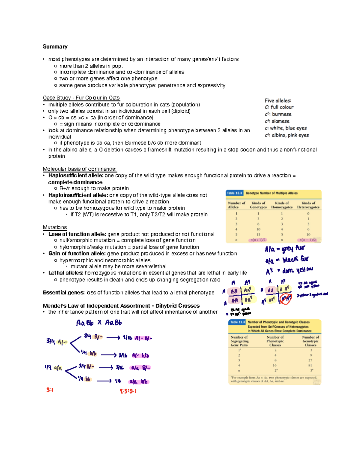 Genetics Study Notes: Week 7 - Phenotypes, Alleles, and Gene ...