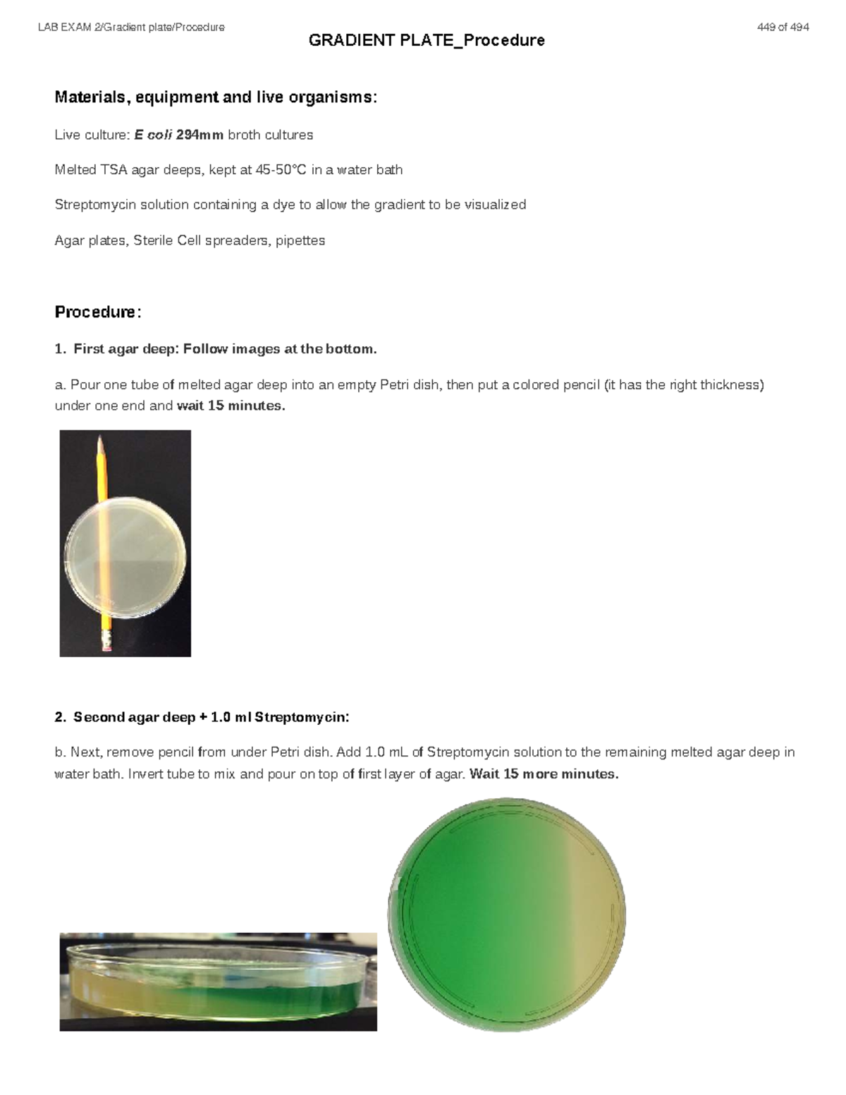 LAB EXAM: Gradient Plate Procedure for E. coli Cultures - Studocu