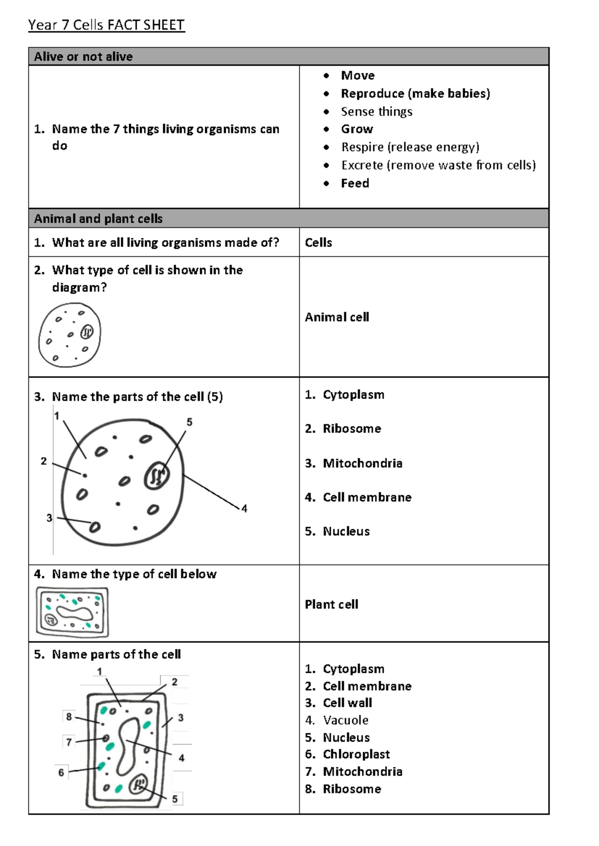 Year 7 Biology - Cells Fact Sheet Notes and Tutorial - Studocu