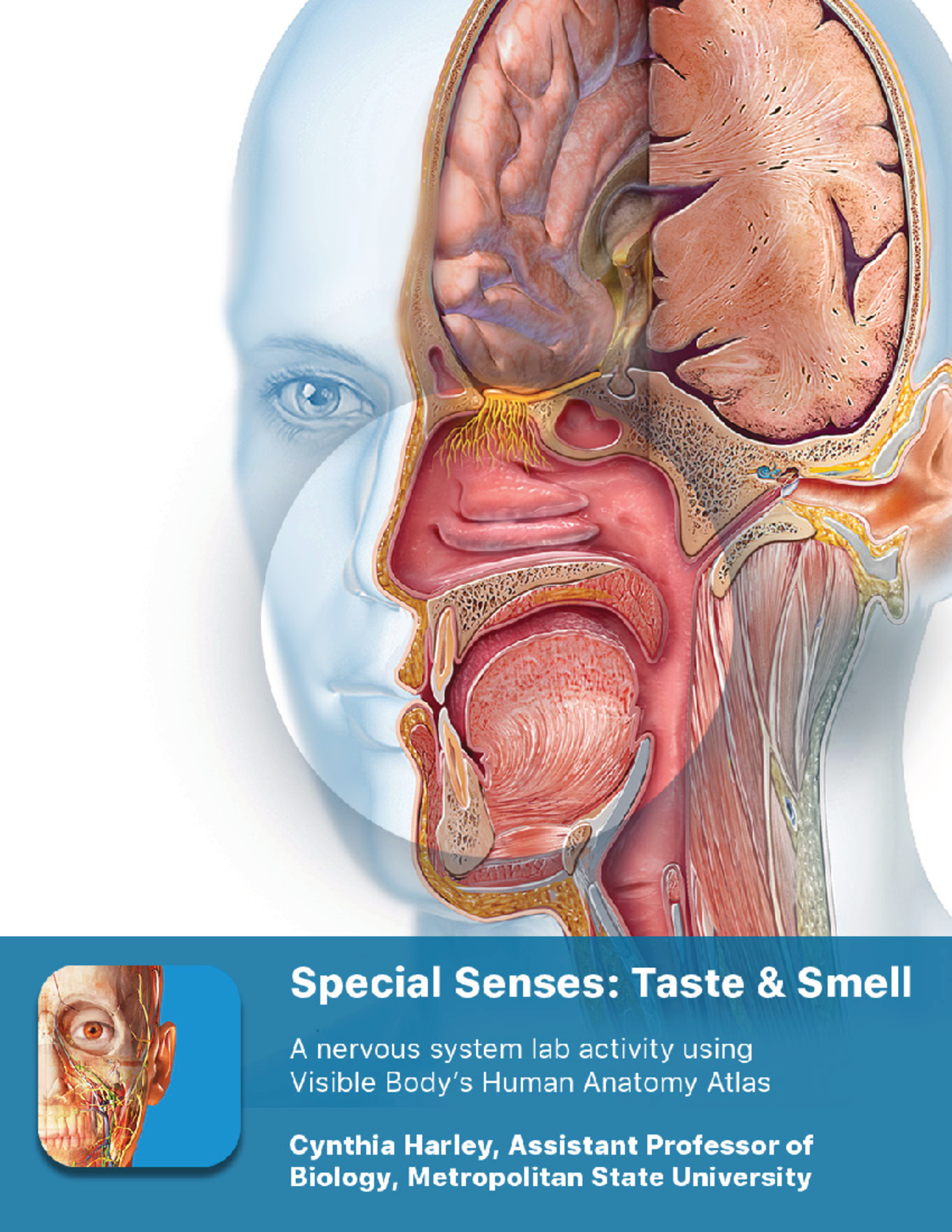 Lab Manual: Senses of Taste and Smell Atlas (BIO 101) - Studocu