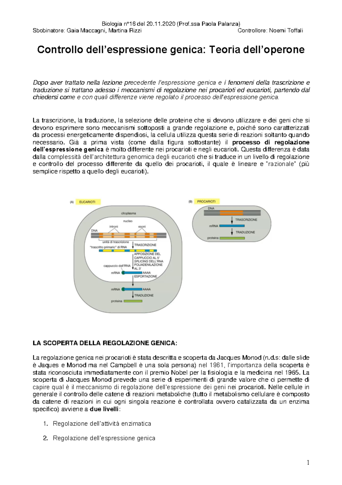 16 Biologia - Teoria dell'Operone e Regolazione Genica negli Eucarioti ...