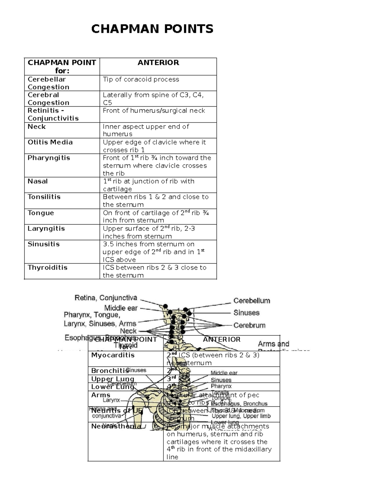 Chapman Points for Anterior Body Systems - ANAT101 Notes - Studocu