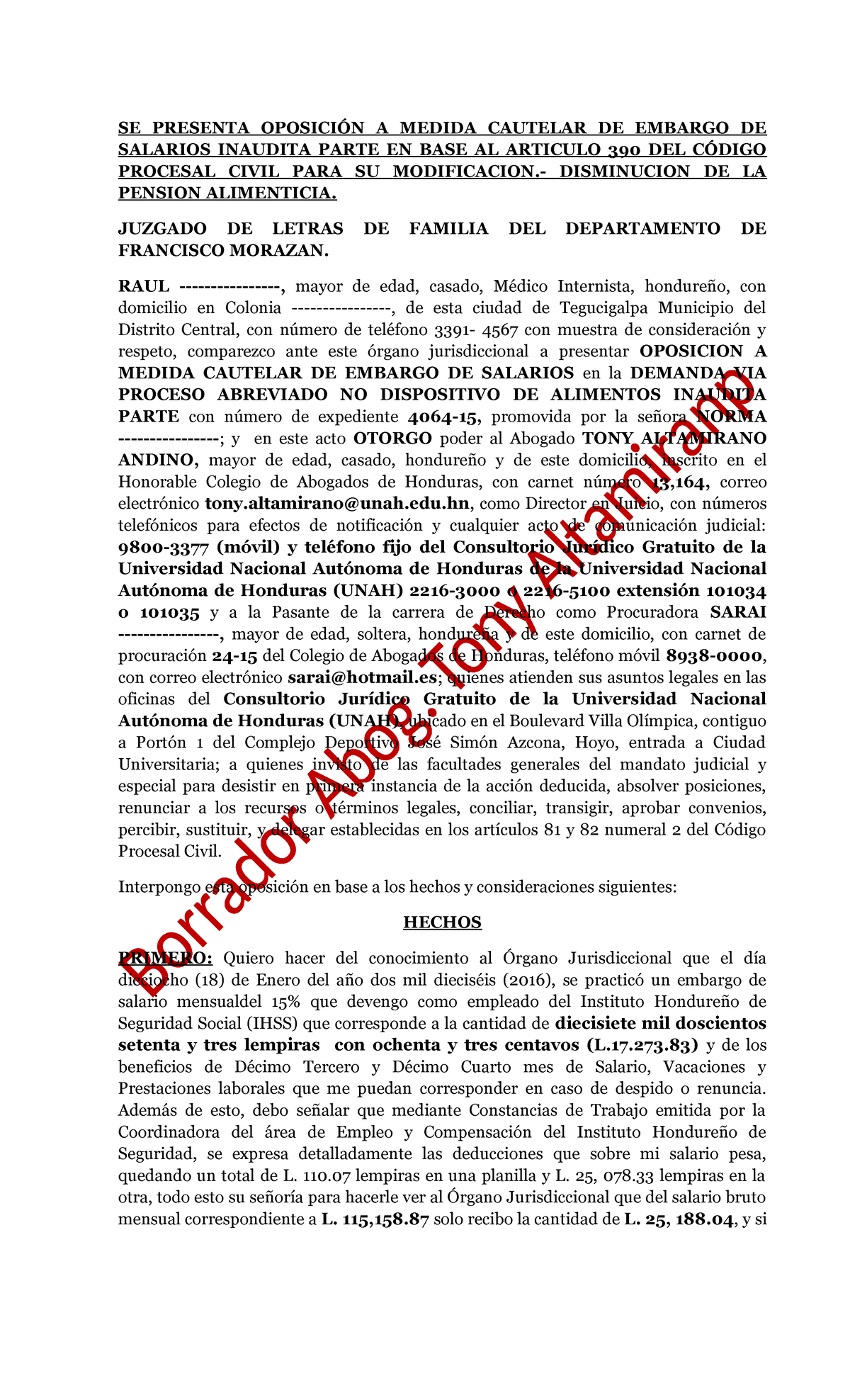 Oposición a Medida Cautelar de Embargo de Salarios - Disminución de Pensión - Document Preview