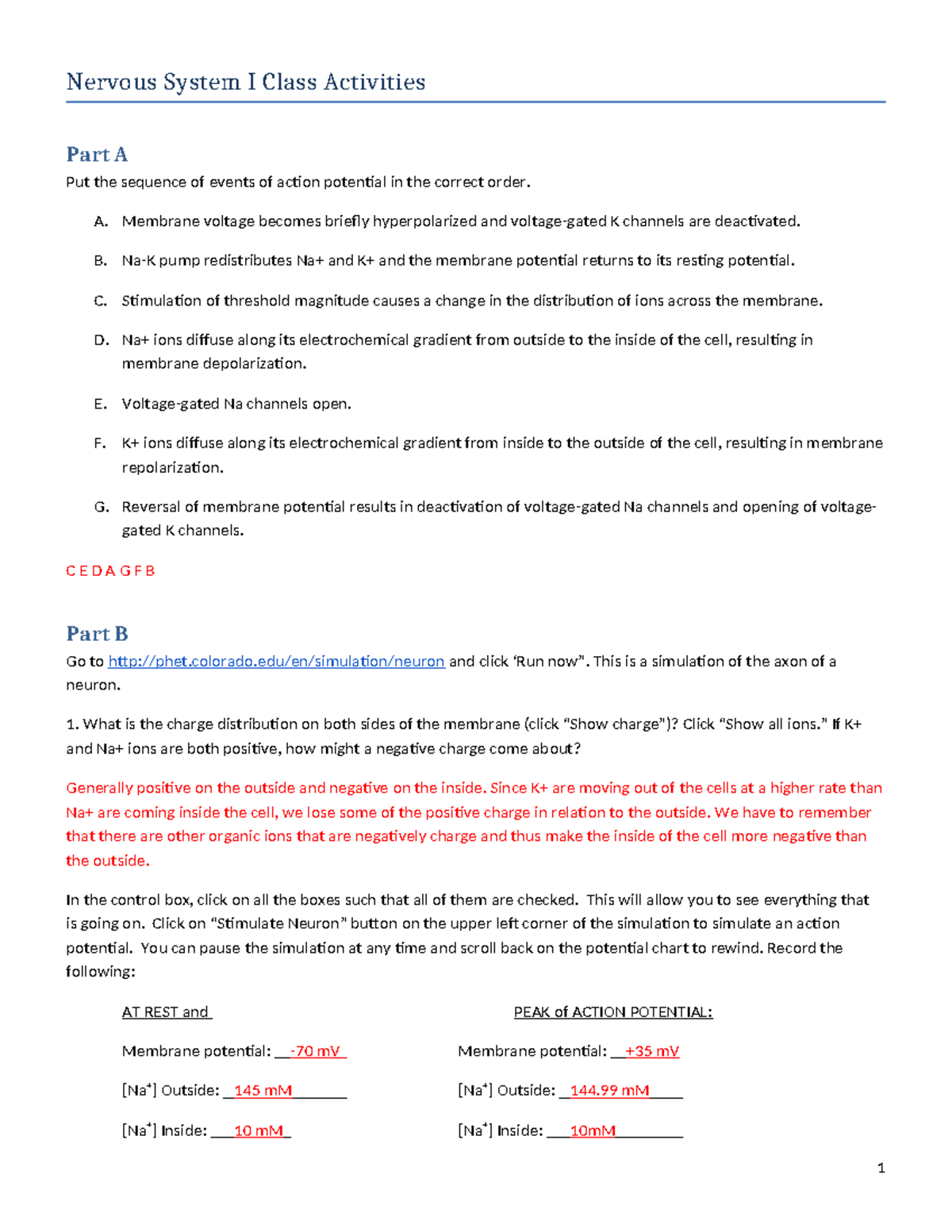 Nervous System I Class Activities - W2024 (Corrected Version) - Studocu