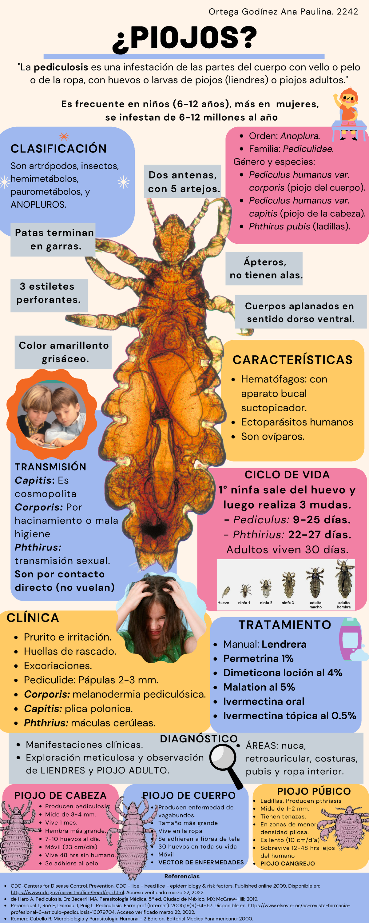 Infografía de Pediculosis: Tipos, Tratamiento y Características - Studocu