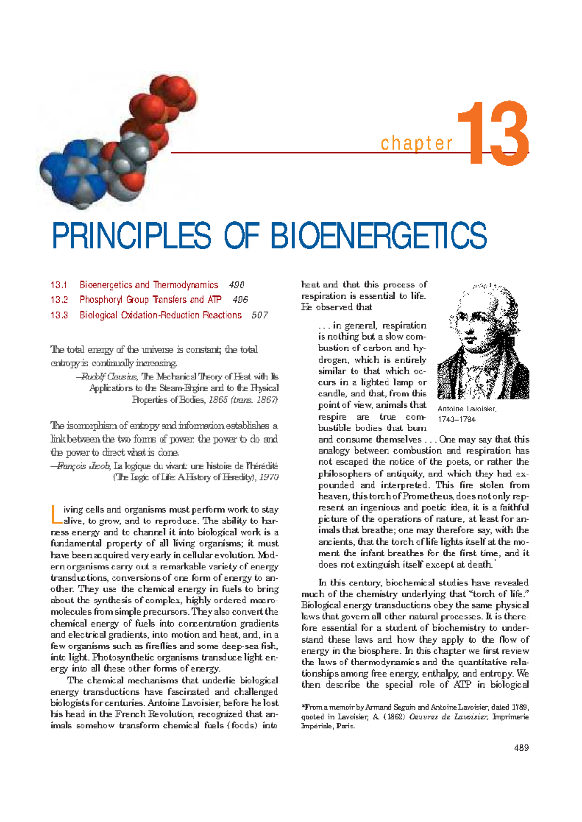 Principles OF Bioenergetics - ch a p t er L iving cells and organisms ...