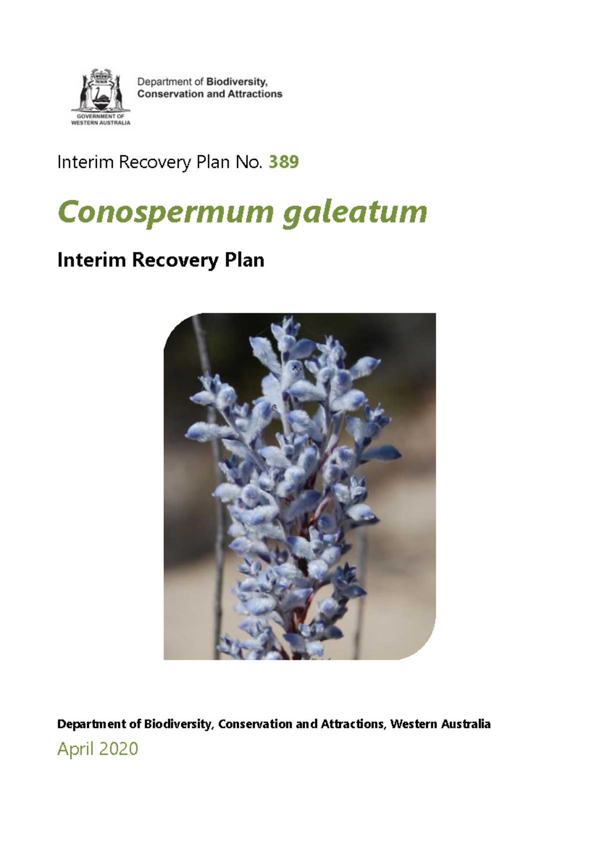 Interim Recovery Plan No. 389 for Conospermum galeatum - Studocu