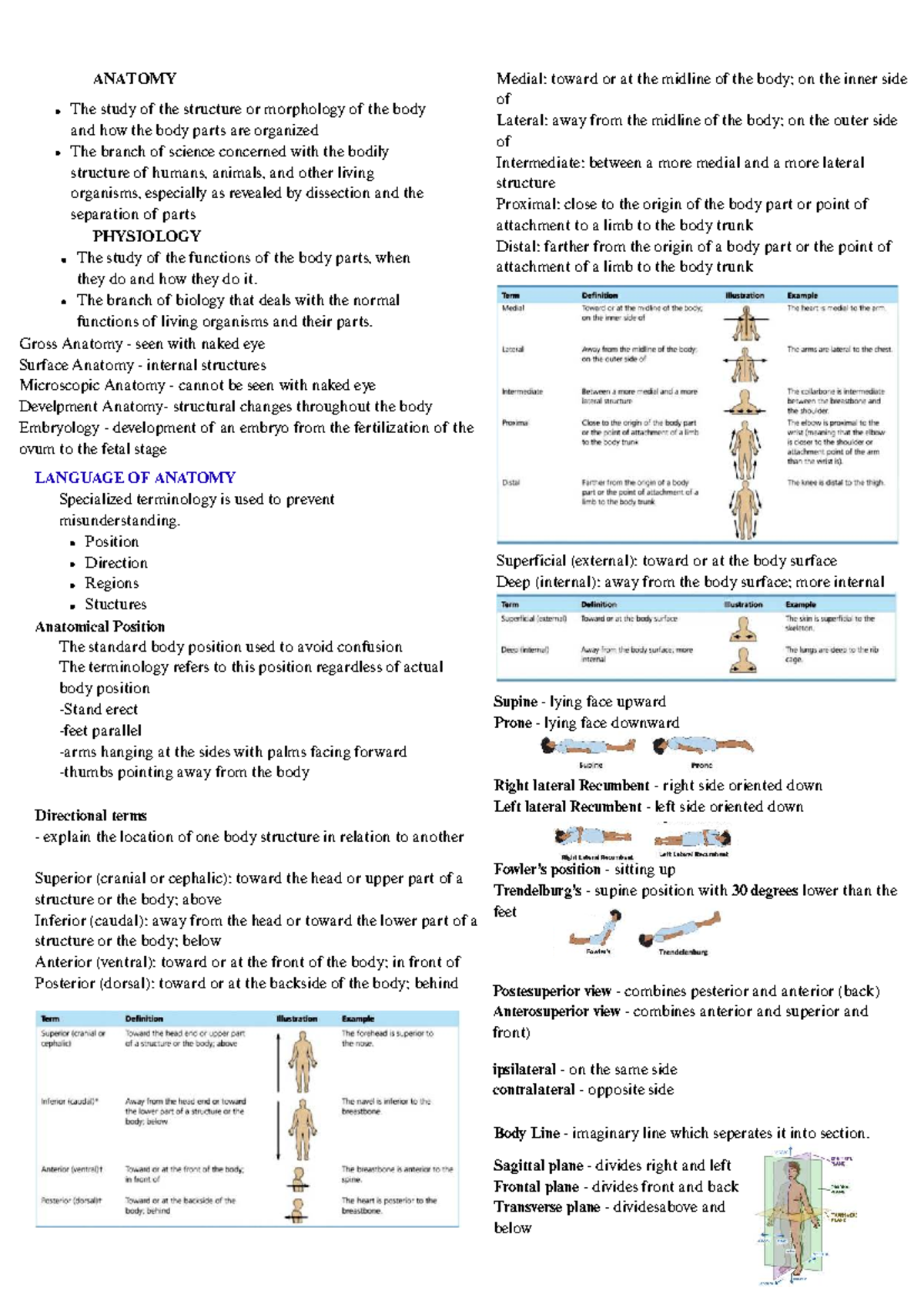 ANAPHY CH1: Overview of Anatomy and Physiology Concepts - Studocu