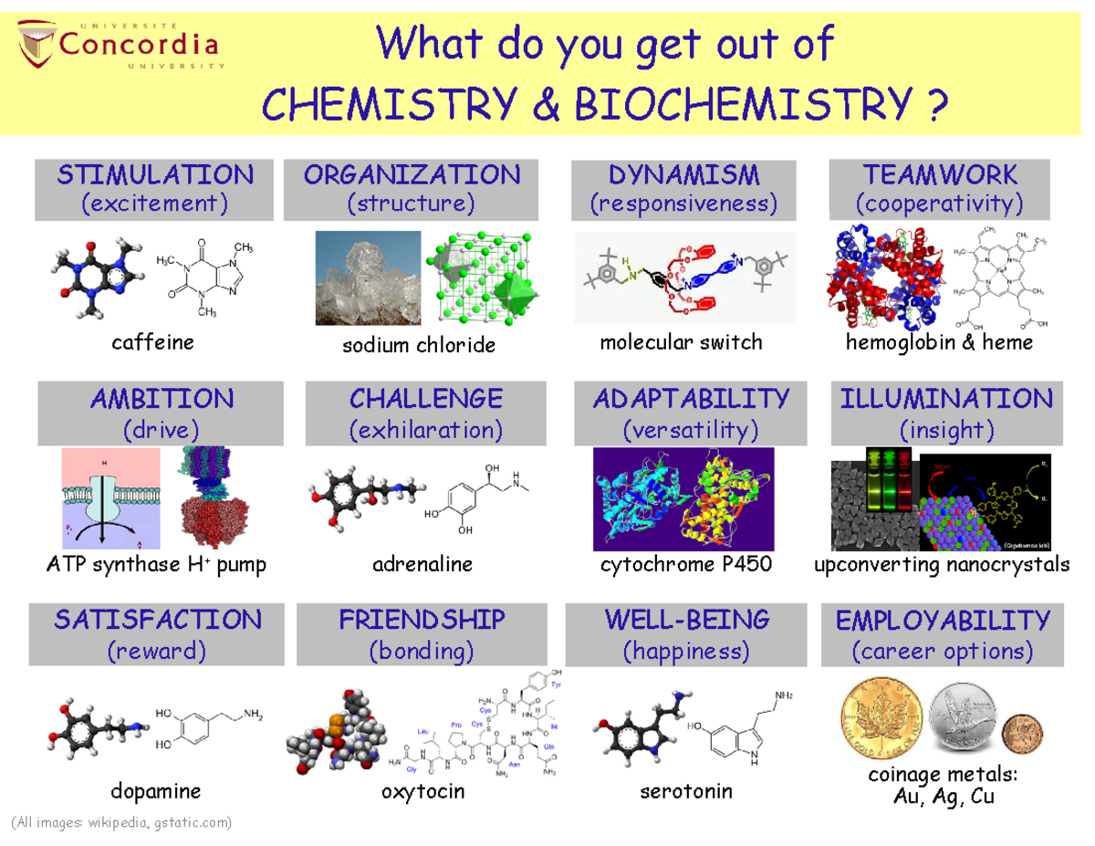 Chem 205 Week 1: Exploring Chemistry & Biochemistry Concepts - Studocu