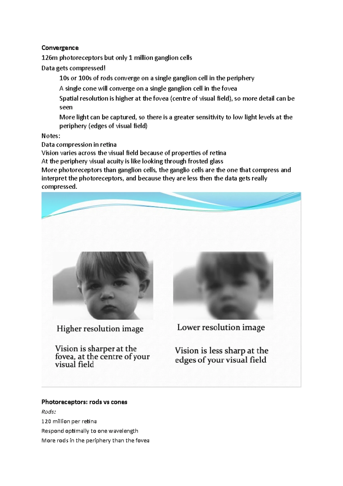 Vision - Lecture notes 1-10 - Vision 1 Our senses are our gateway to ...