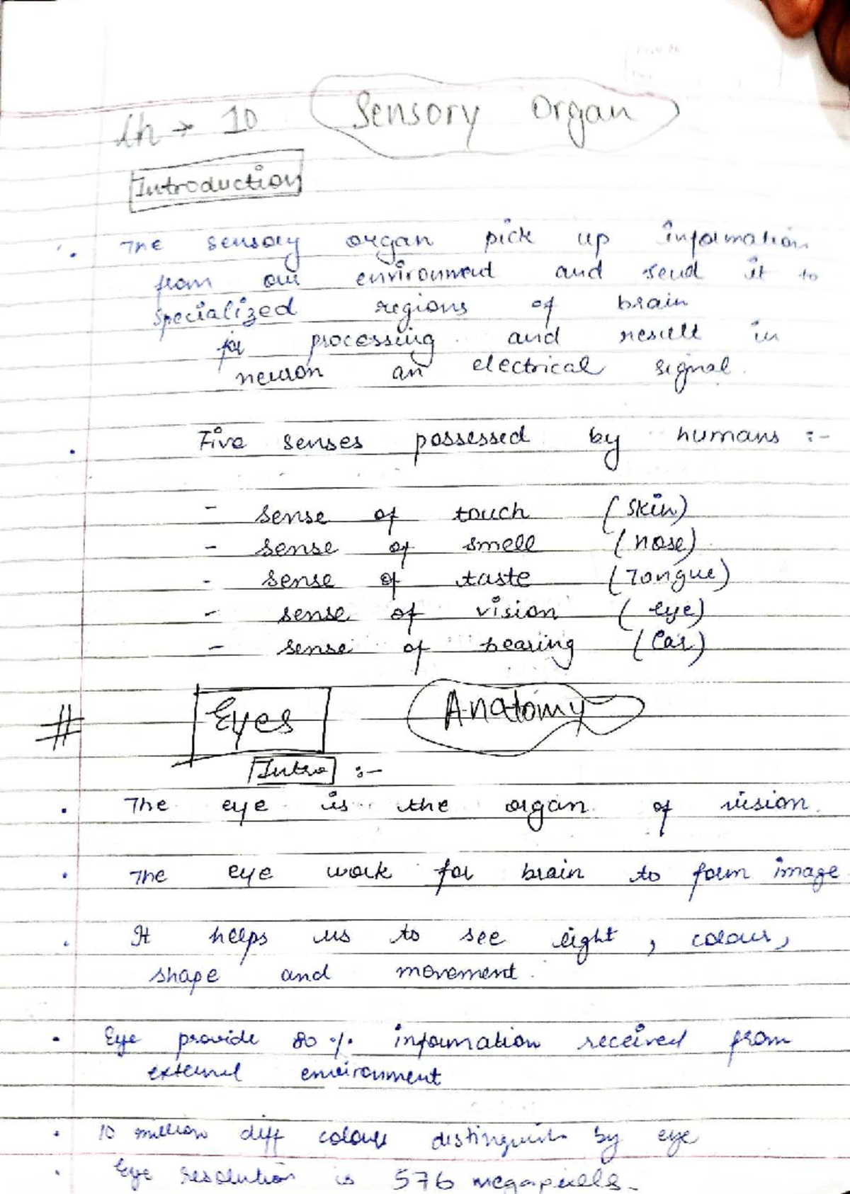 Sensory Organs Overview: Anatomy & Physiology Notes (Course Code ...