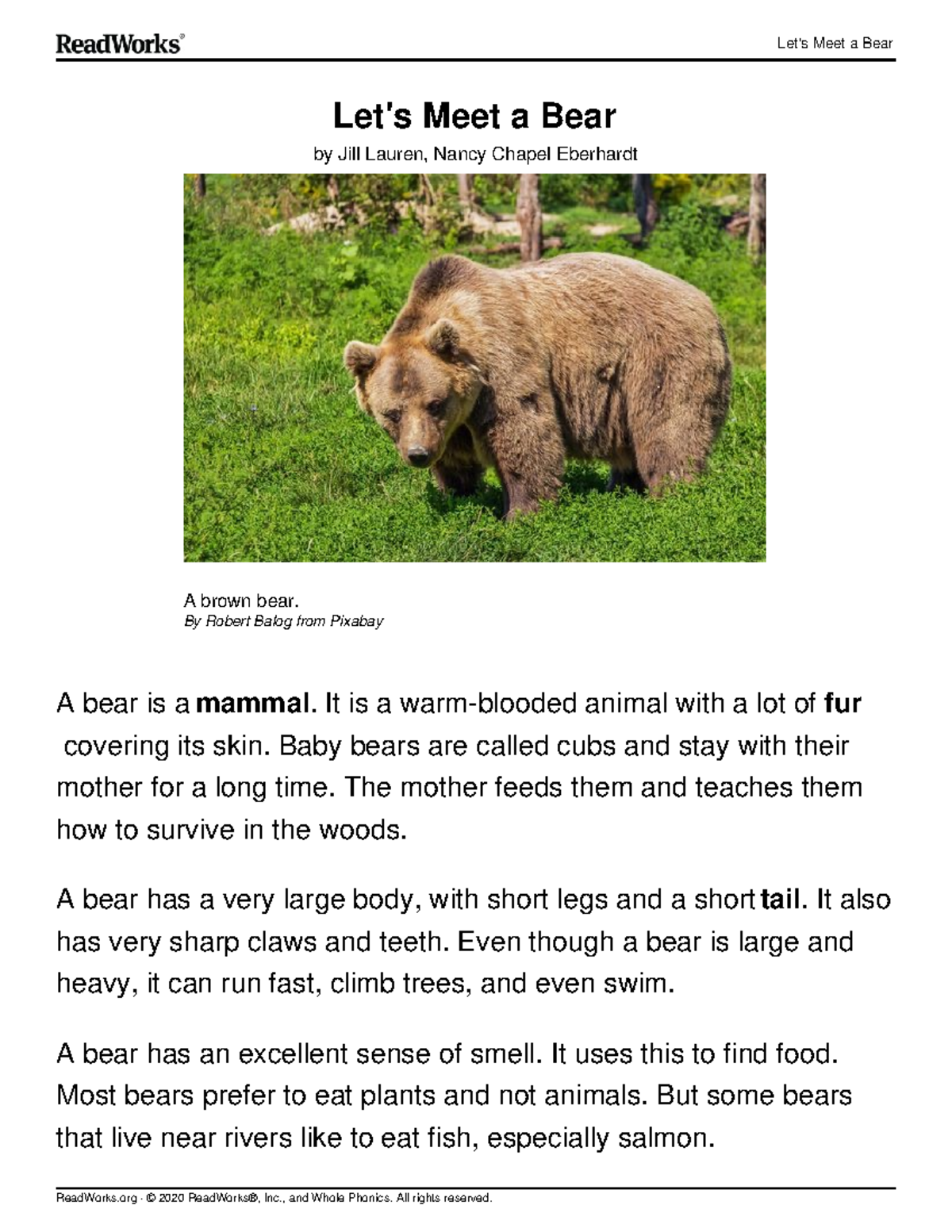 Comprehension Lesson 1: Meet a Bear - Understanding Mammals - Studocu