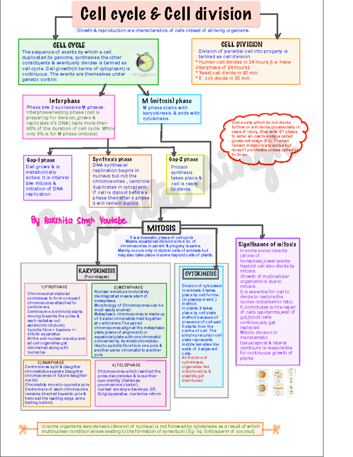 CELL Cycle AND CELL Division - Cell cycle & Cell division CELL CYCLE ...