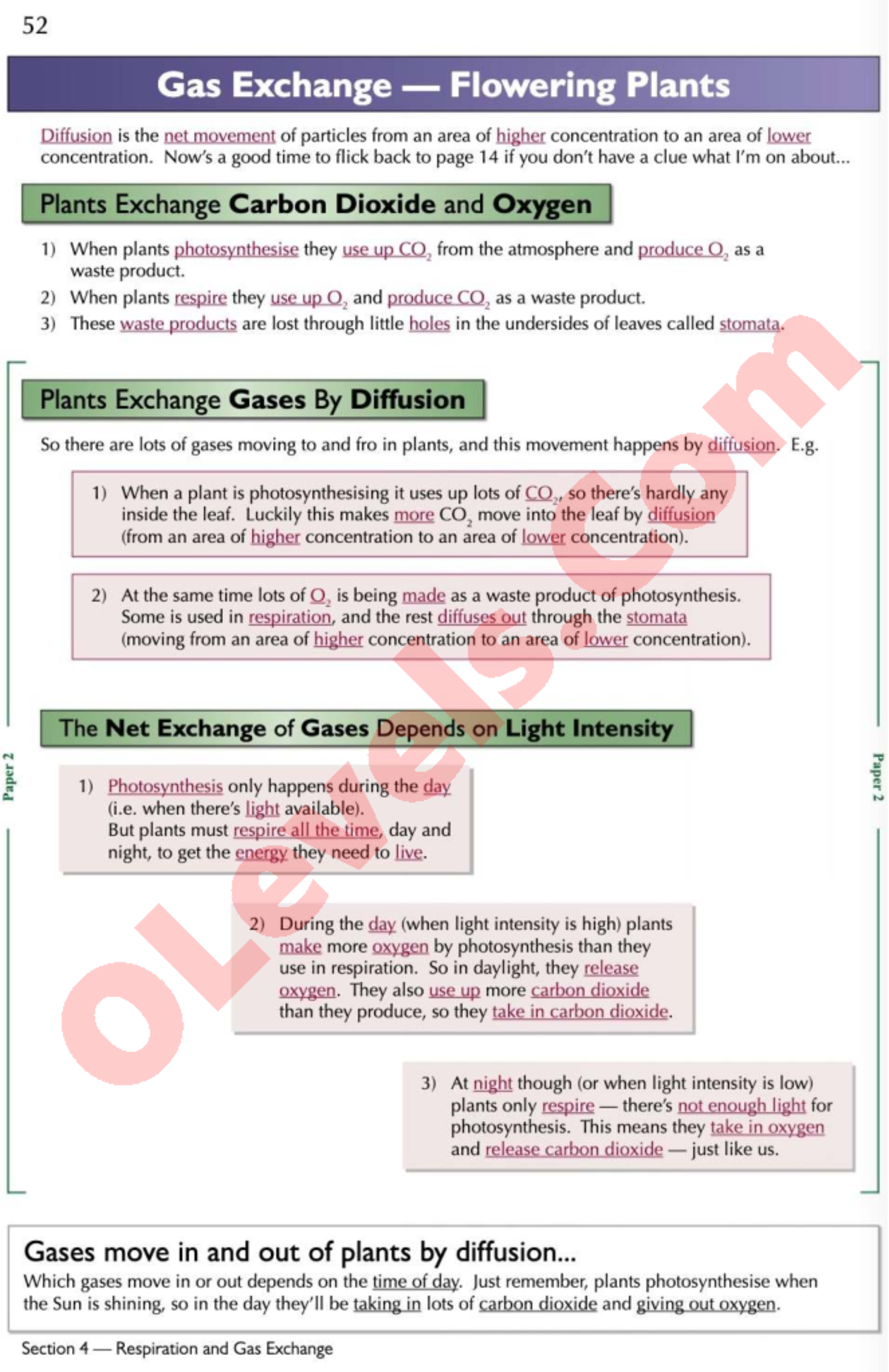 A67E040E: Gas Exchange in Flowering Plants - Respiration & Diffusion ...
