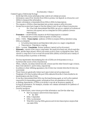 Comprehensive Guide to DNA Replication and Molecular Cloning Techniques ...