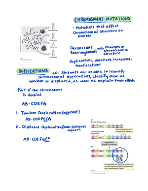 Understanding DNA Mutations: Types, Effects, and Genetic Significance ...